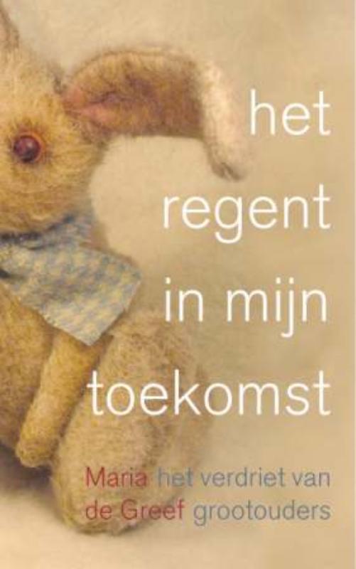 Omslag van Het regent in mijn toekomst