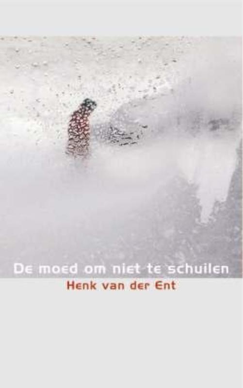 Omslag van De moed om niet te schuilen