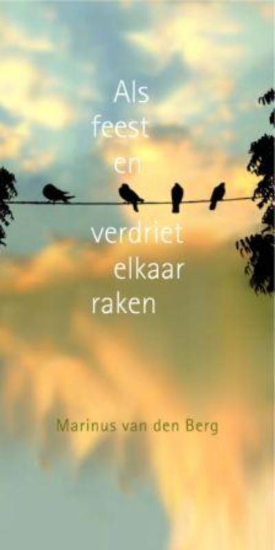 Omslag van Als feest en verdriet elkaar raken