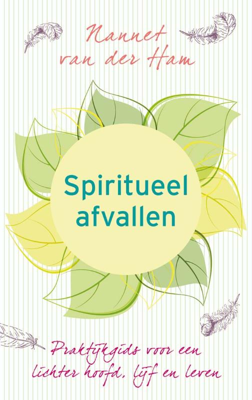 Omslag van Spiritueel afvallen