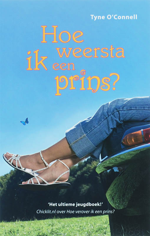 Omslag van Hoe weersta ik een prins?