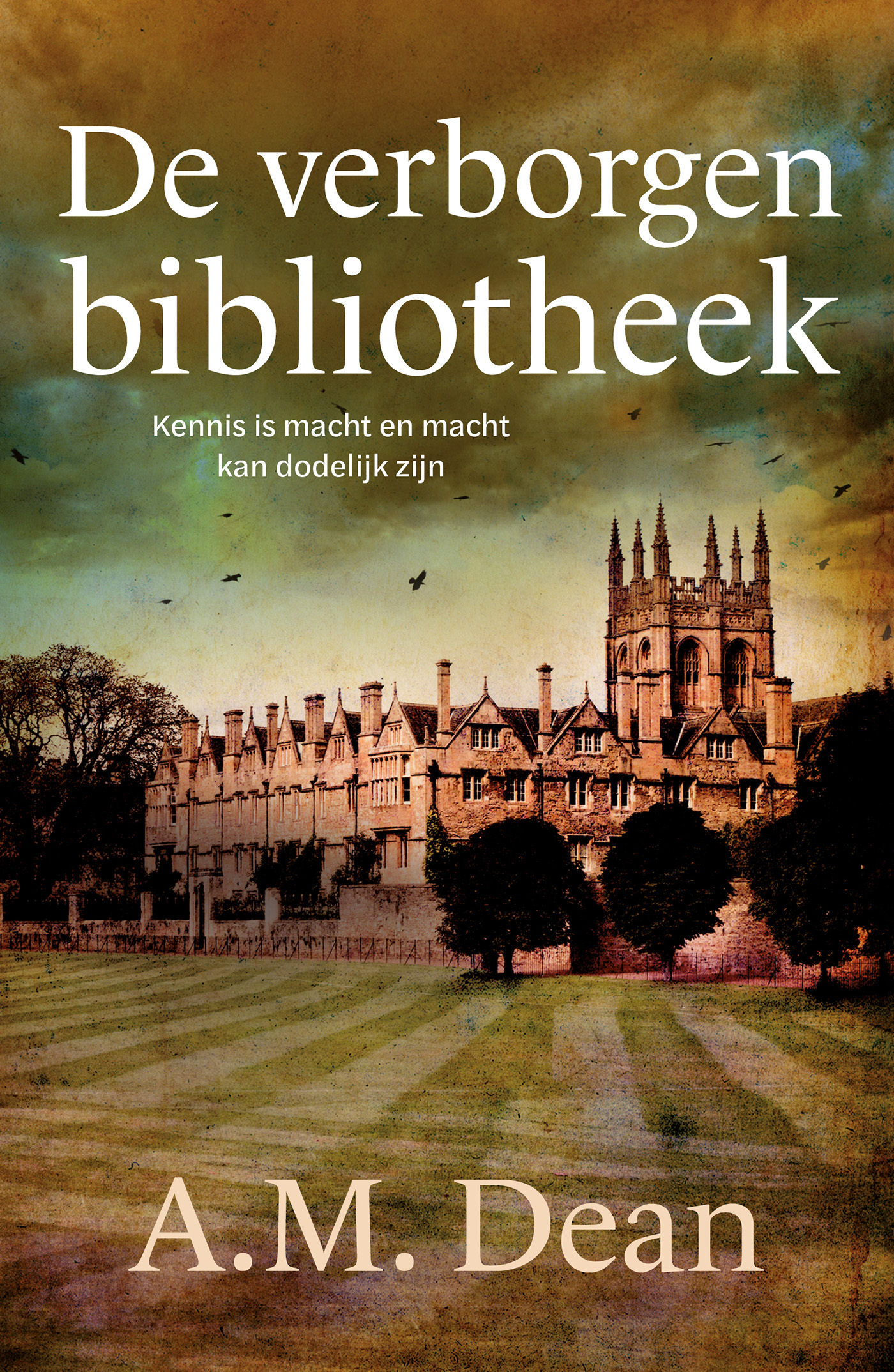 Omslag van De verborgen bibliotheek