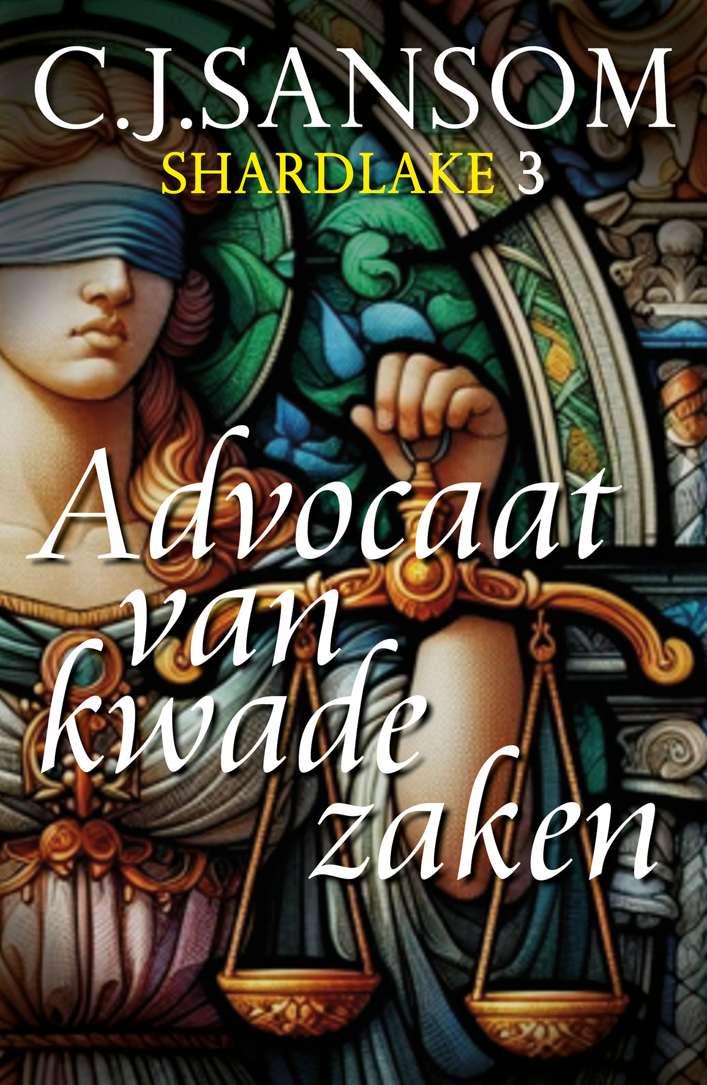 Omslag van Advocaat van kwade zaken