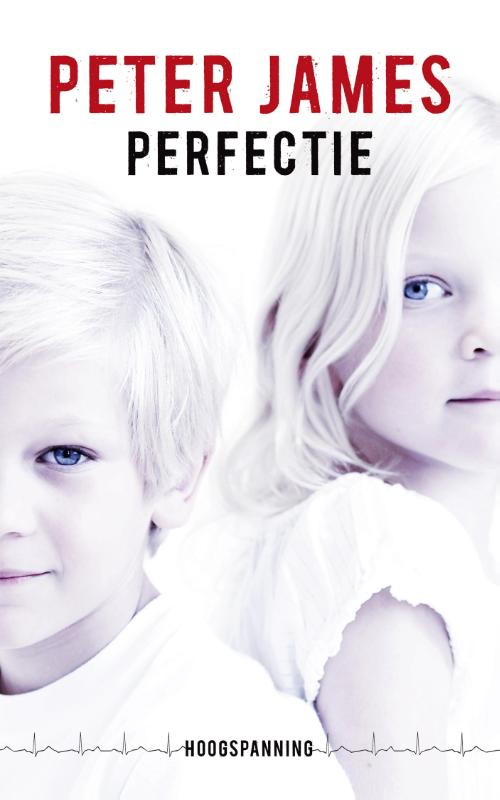 Omslag van Perfectie