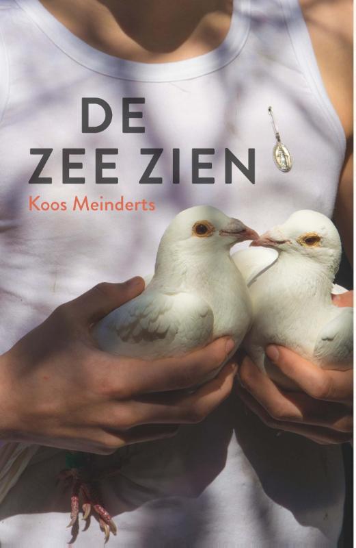 Omslag van De zee zien