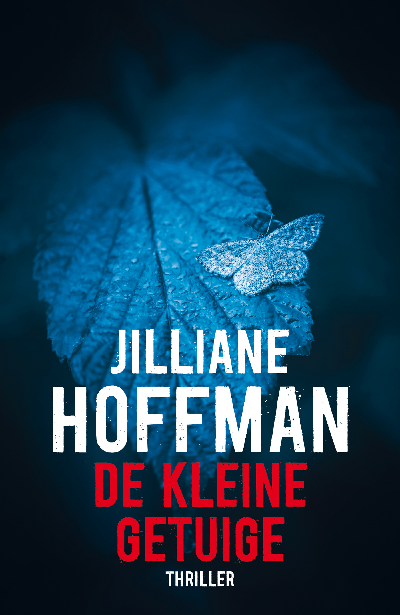 Omslag van De kleine getuige