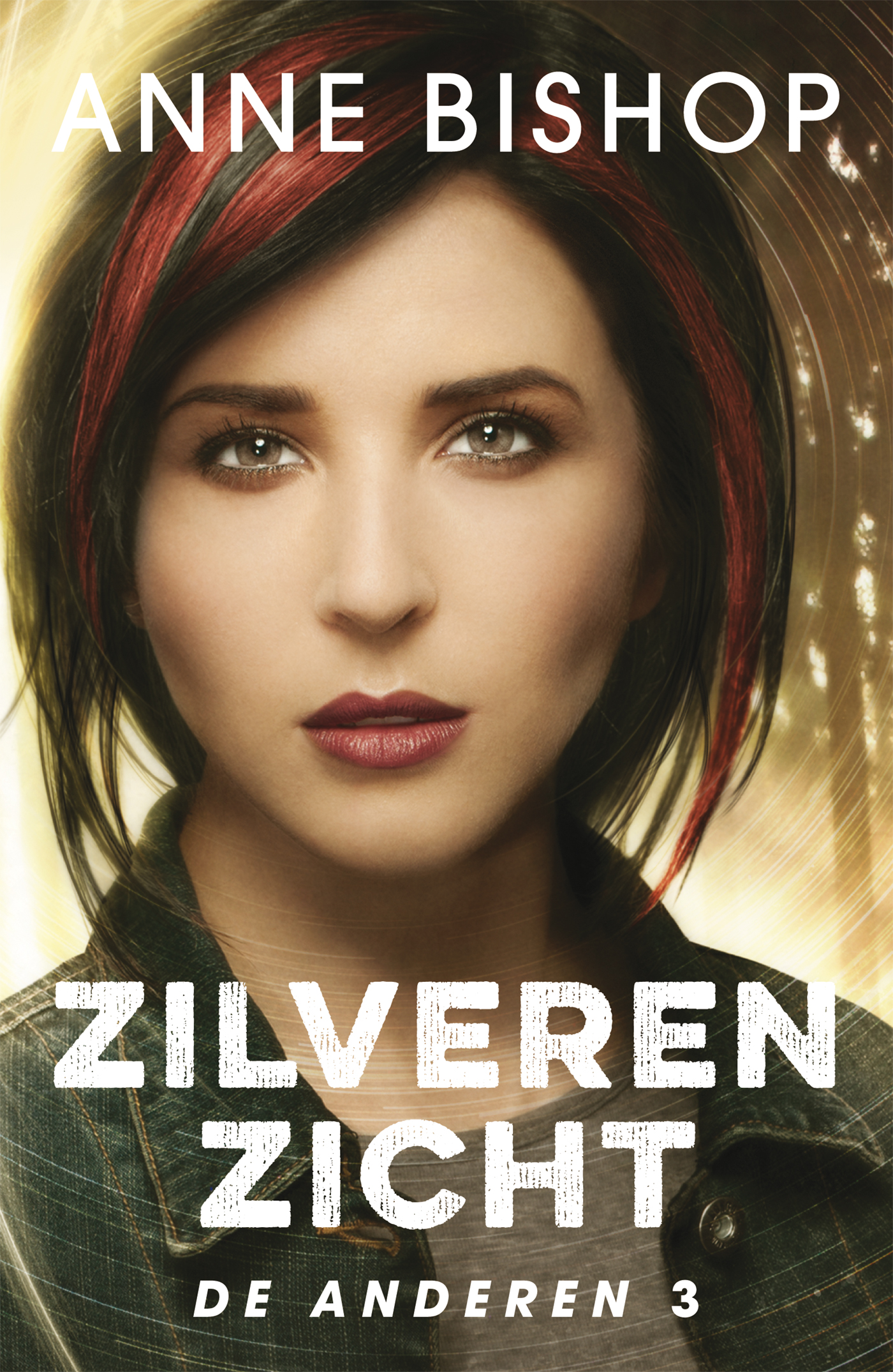 Omslag van Zilveren zicht