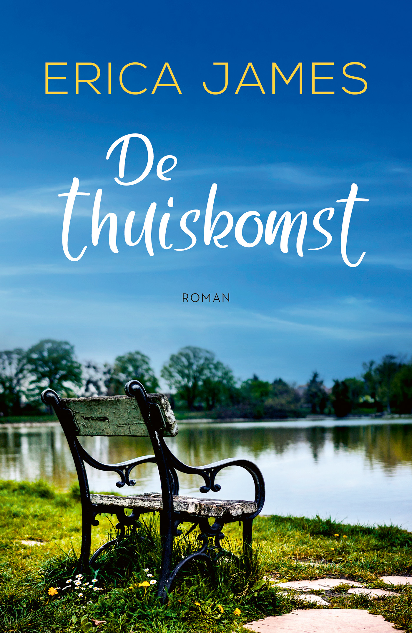 Omslag van De thuiskomst