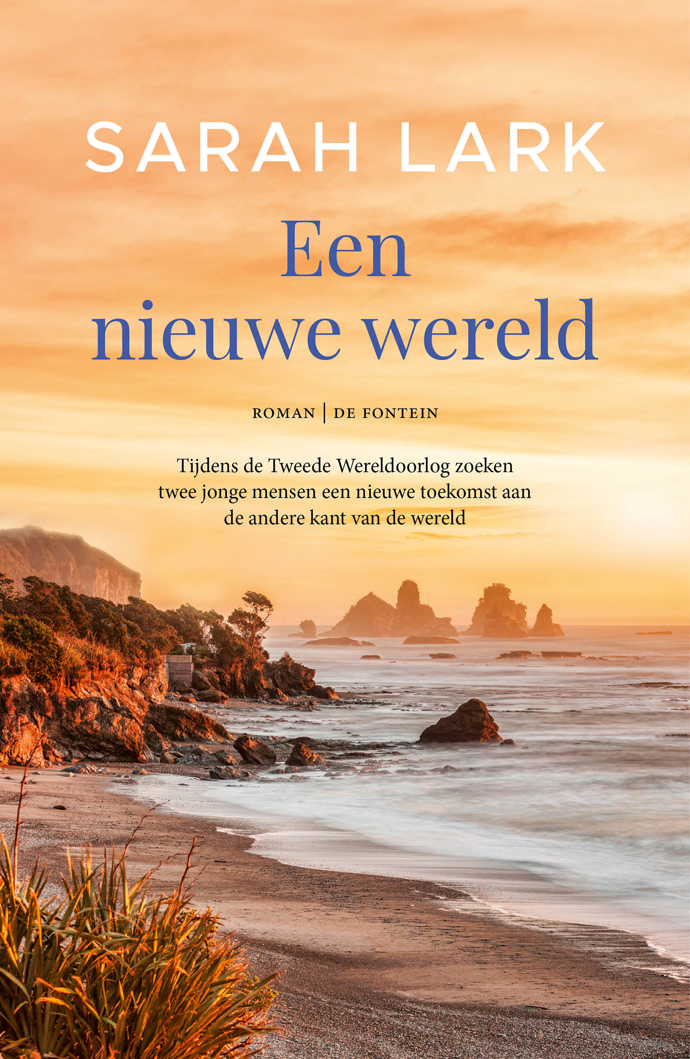 Omslag van Een nieuwe wereld