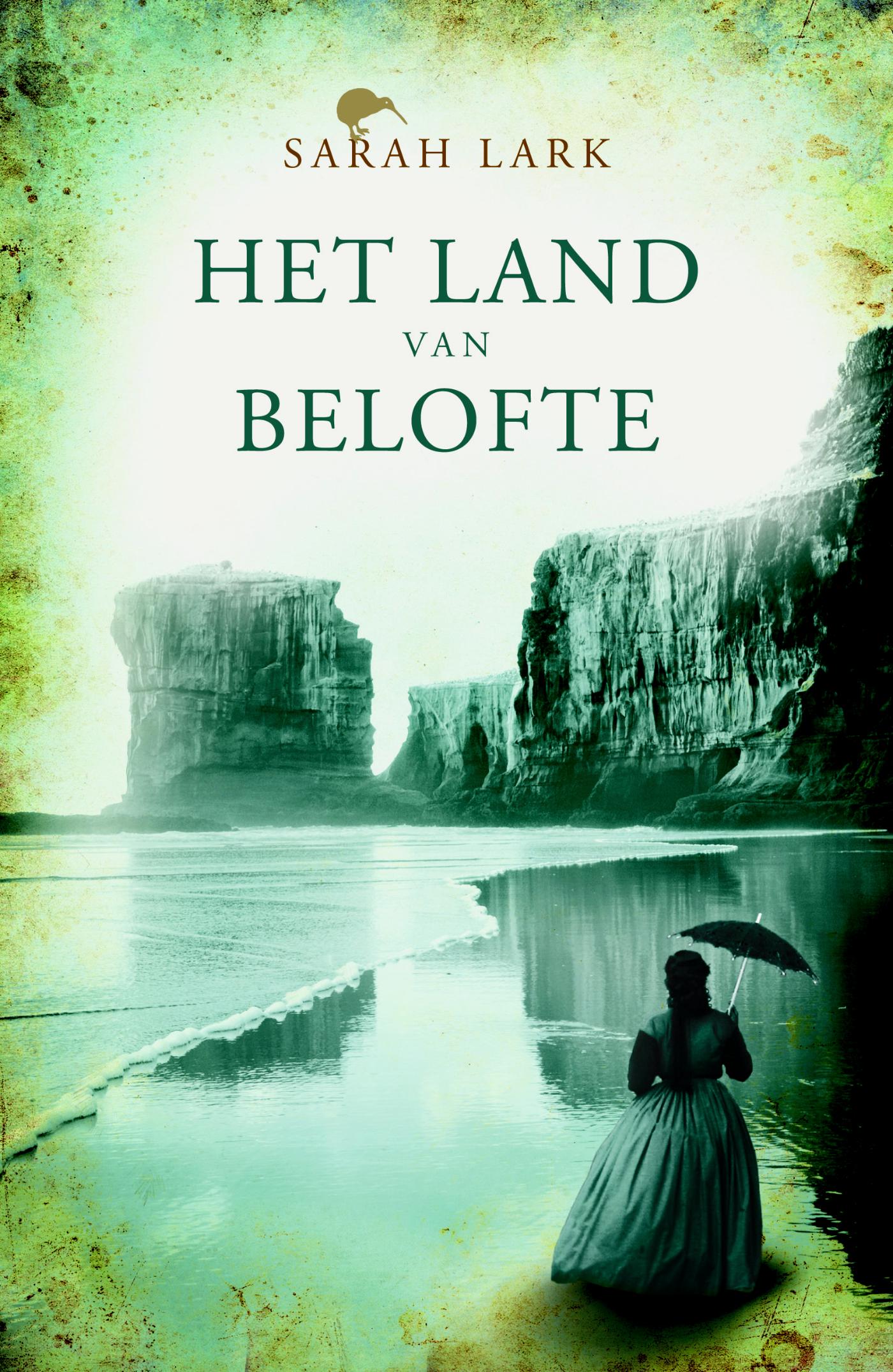 Omslag van Het land van belofte