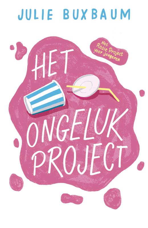 Omslag van Het ongelukproject
