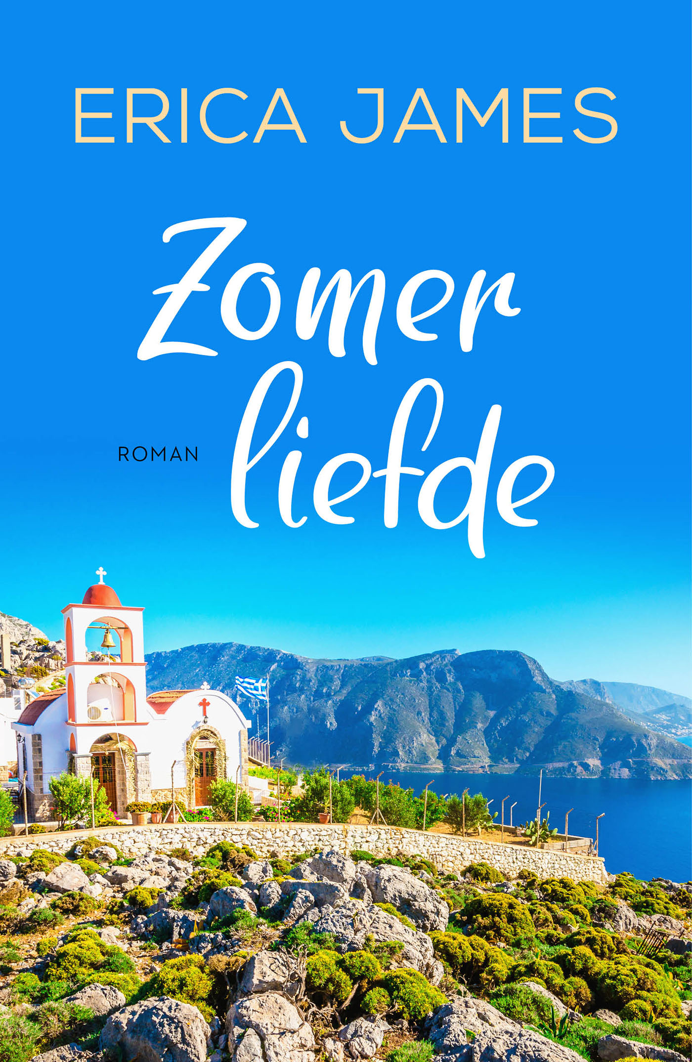 Omslag van Zomerliefde