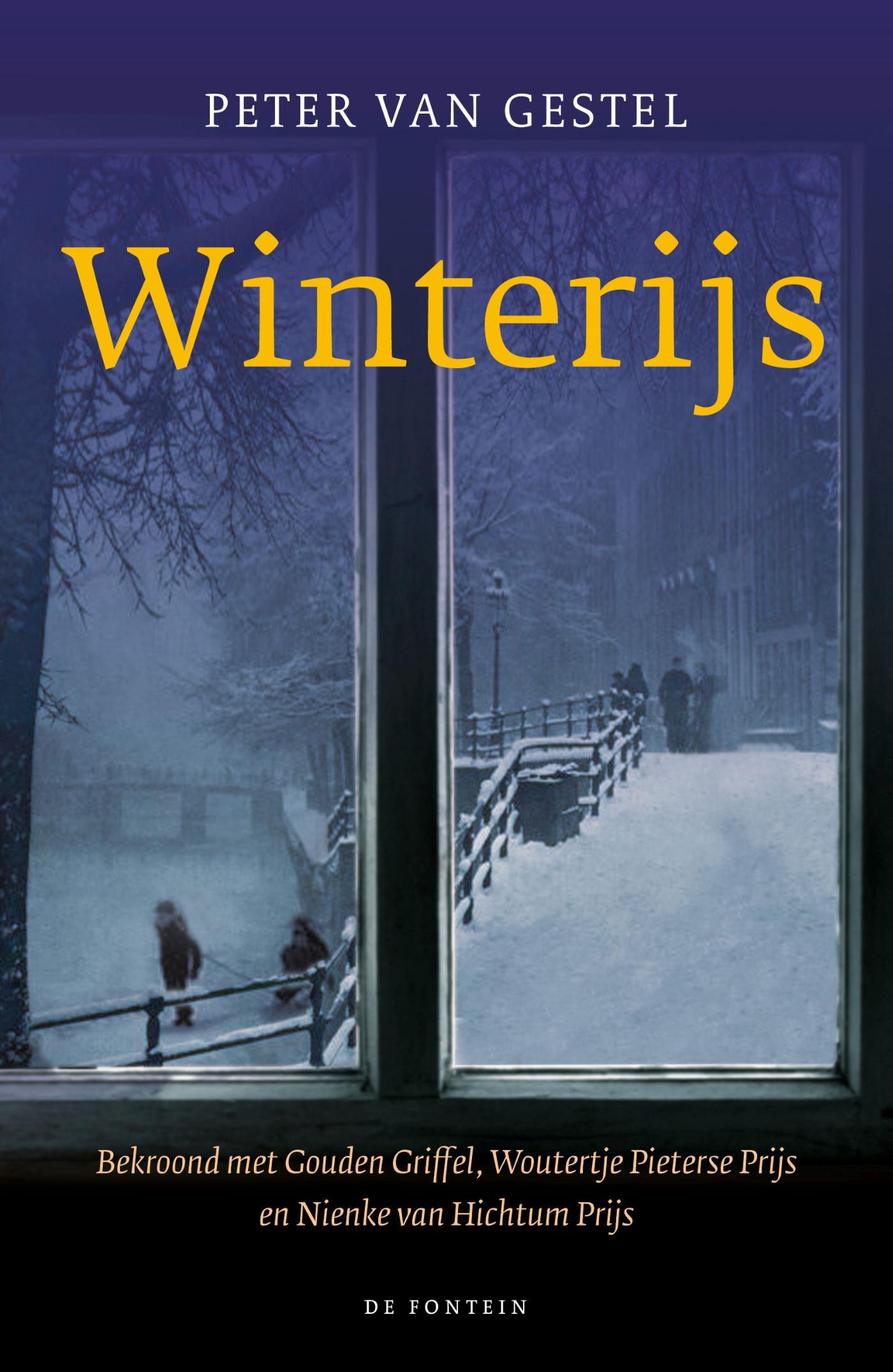 Omslag van Winterijs