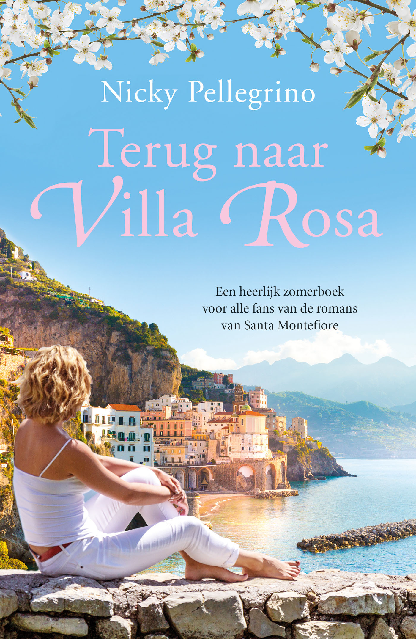 Omslag van Terug naar Villa Rosa