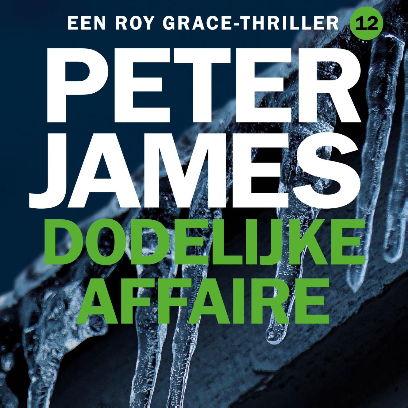 Omslag van Dodelijke affaire