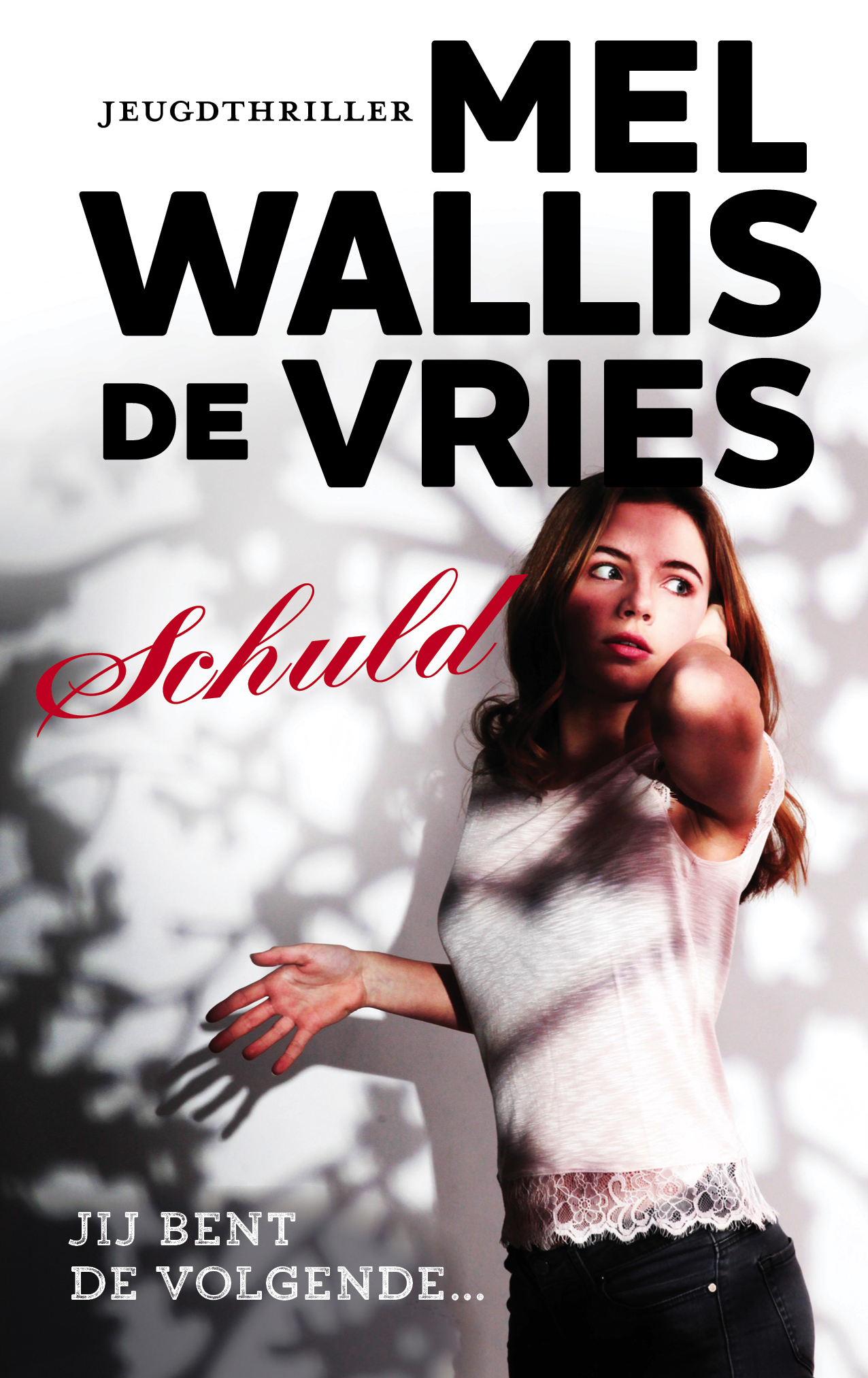 Omslag van Schuld