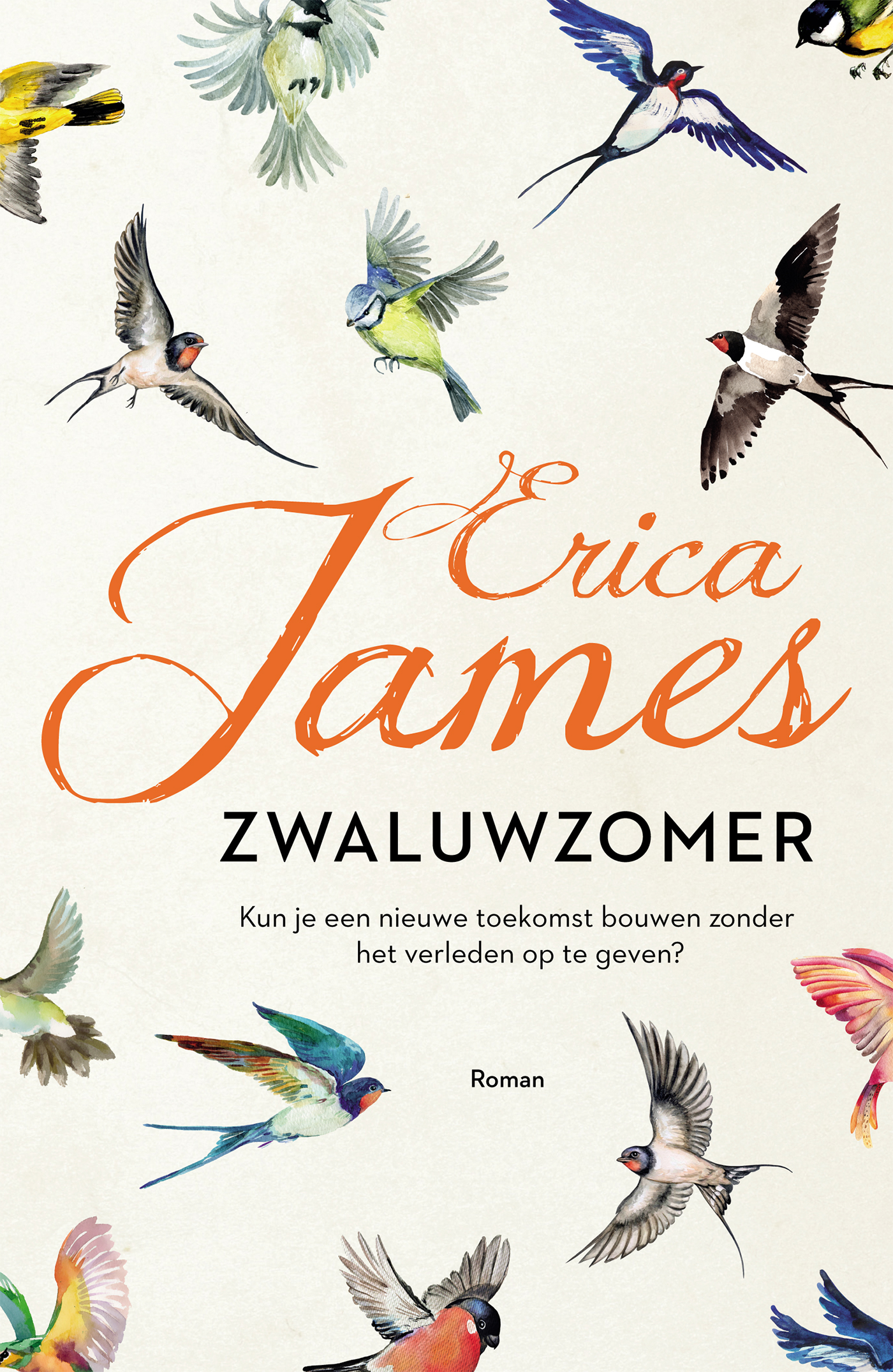 Omslag van Zwaluwzomer