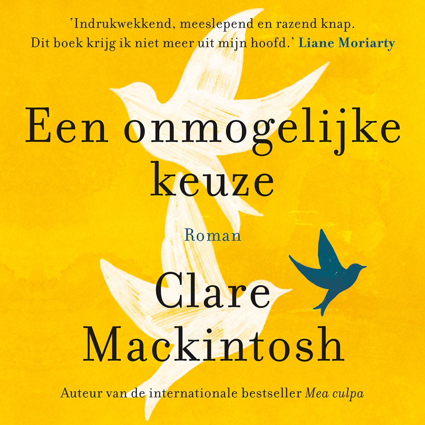 Omslag van Een onmogelijke keuze