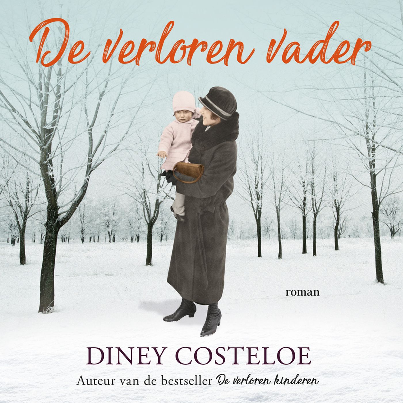 Omslag van De verloren vader