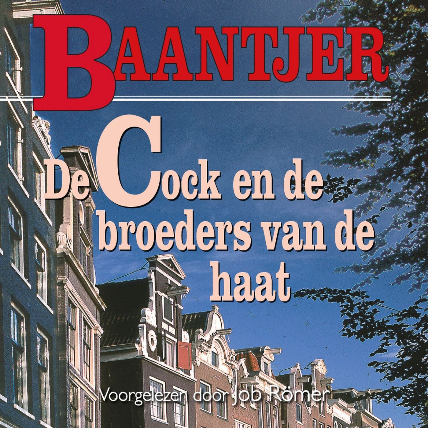Omslag van De Cock en de broeders van de haat