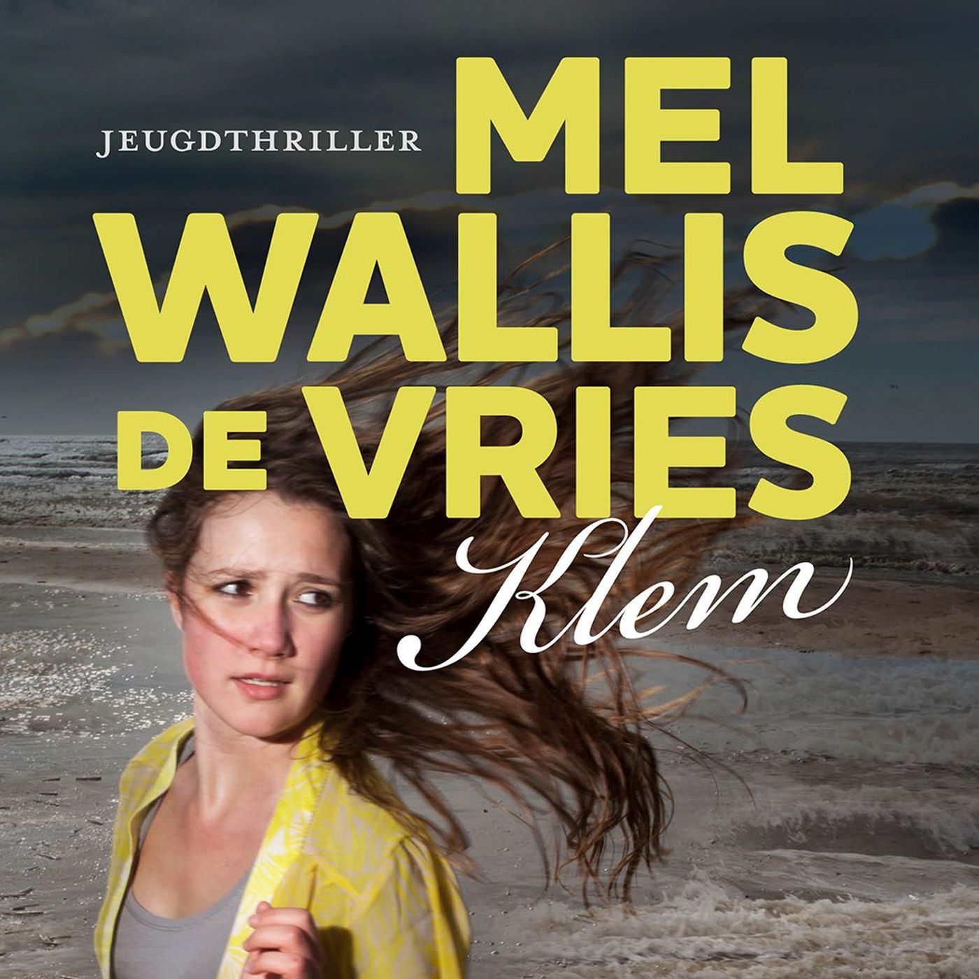 Omslag van Klem