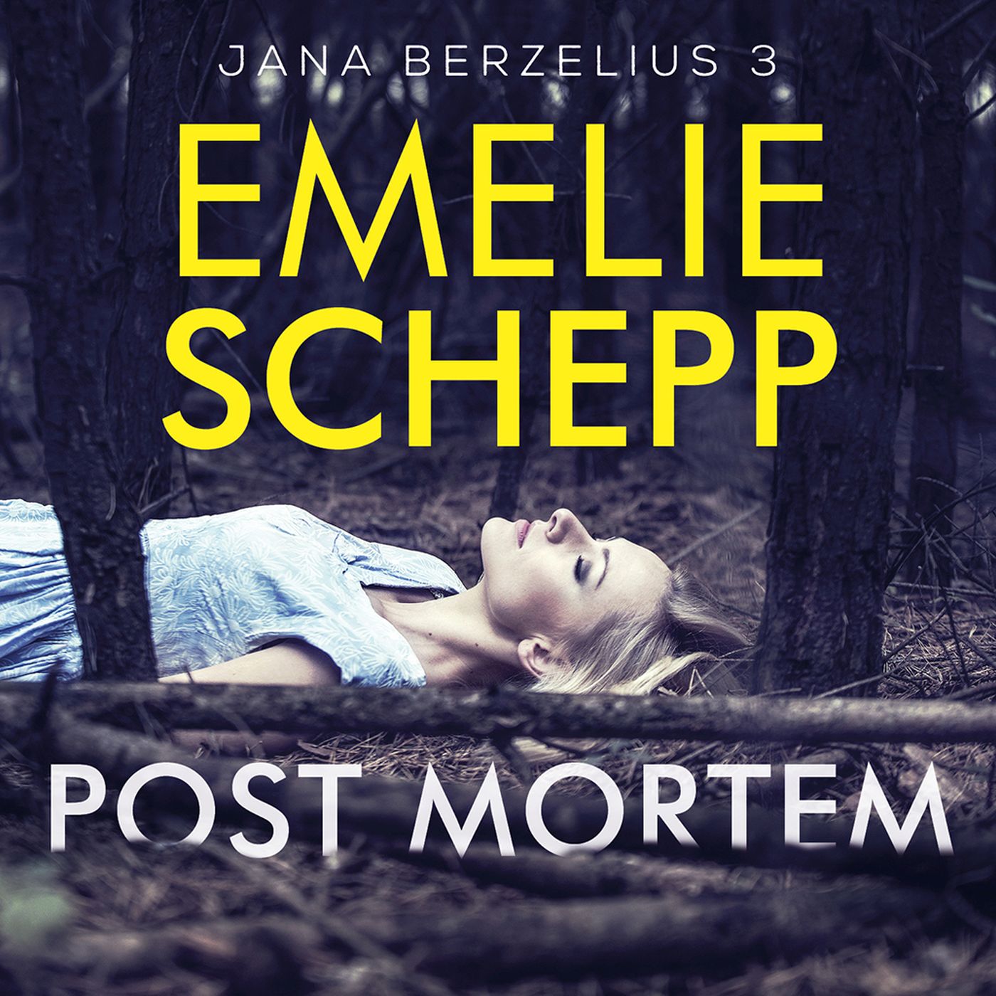 Omslag van Post mortem