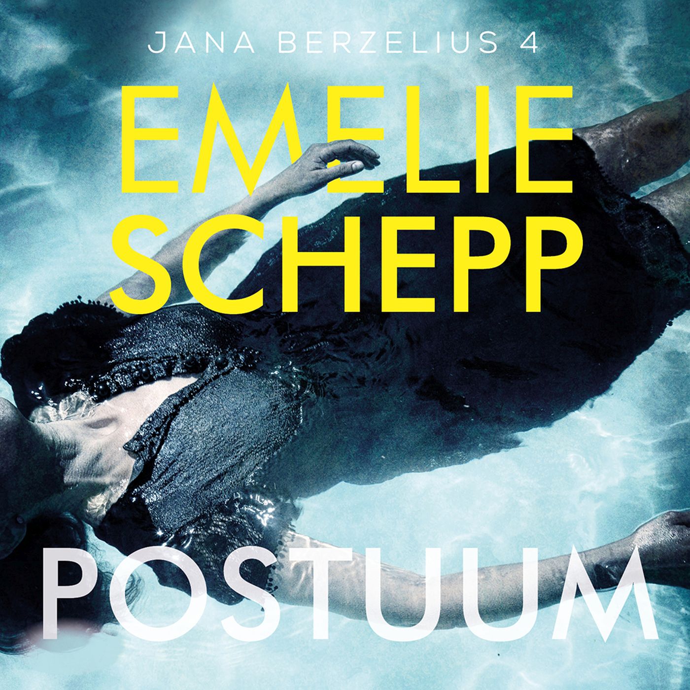 Omslag van Postuum