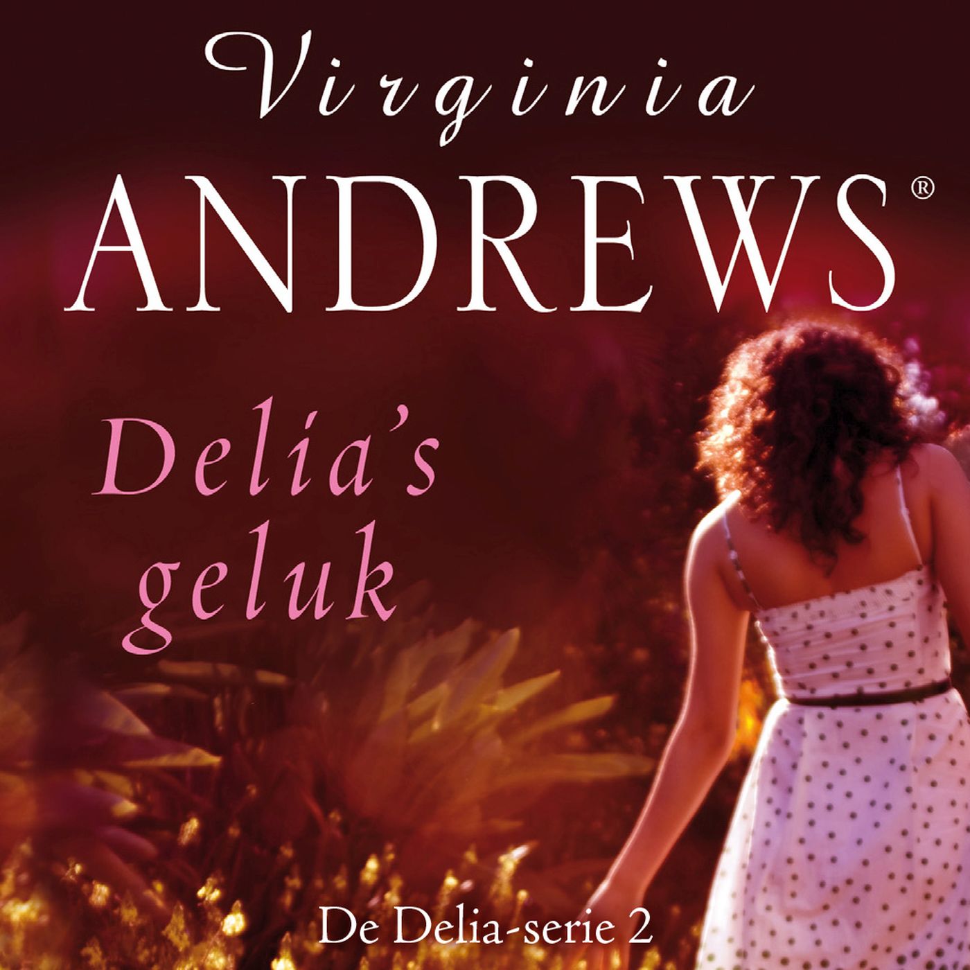 Omslag van Delia's geluk