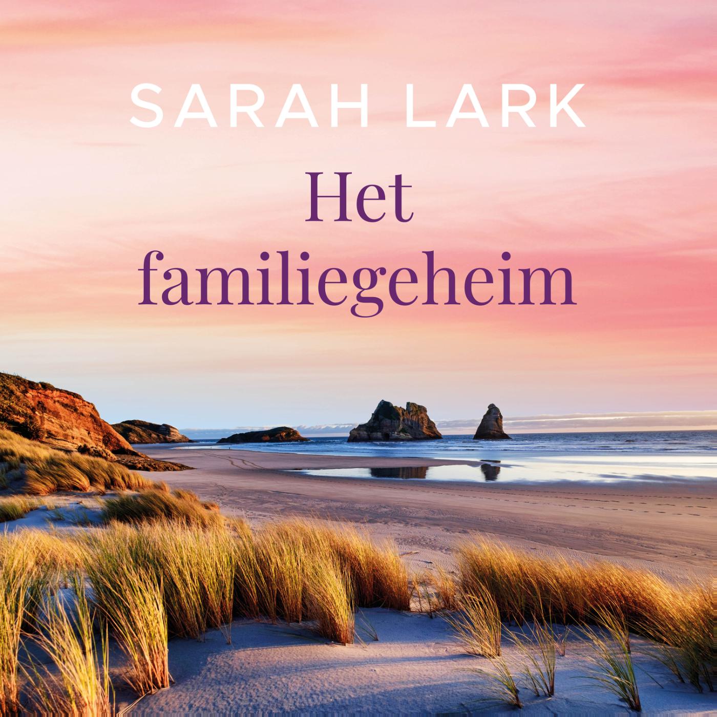 Omslag van Het familiegeheim