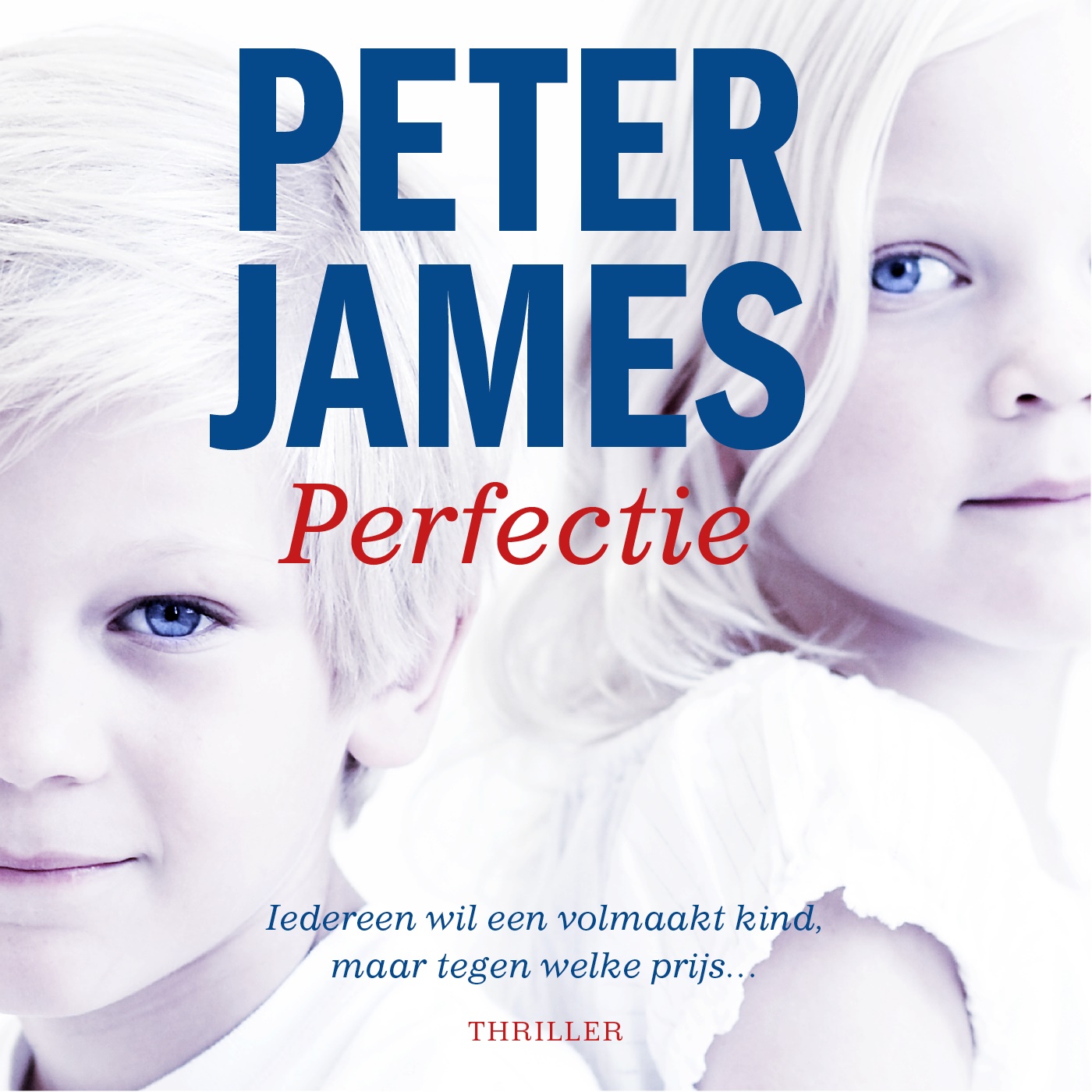 Omslag van Perfectie