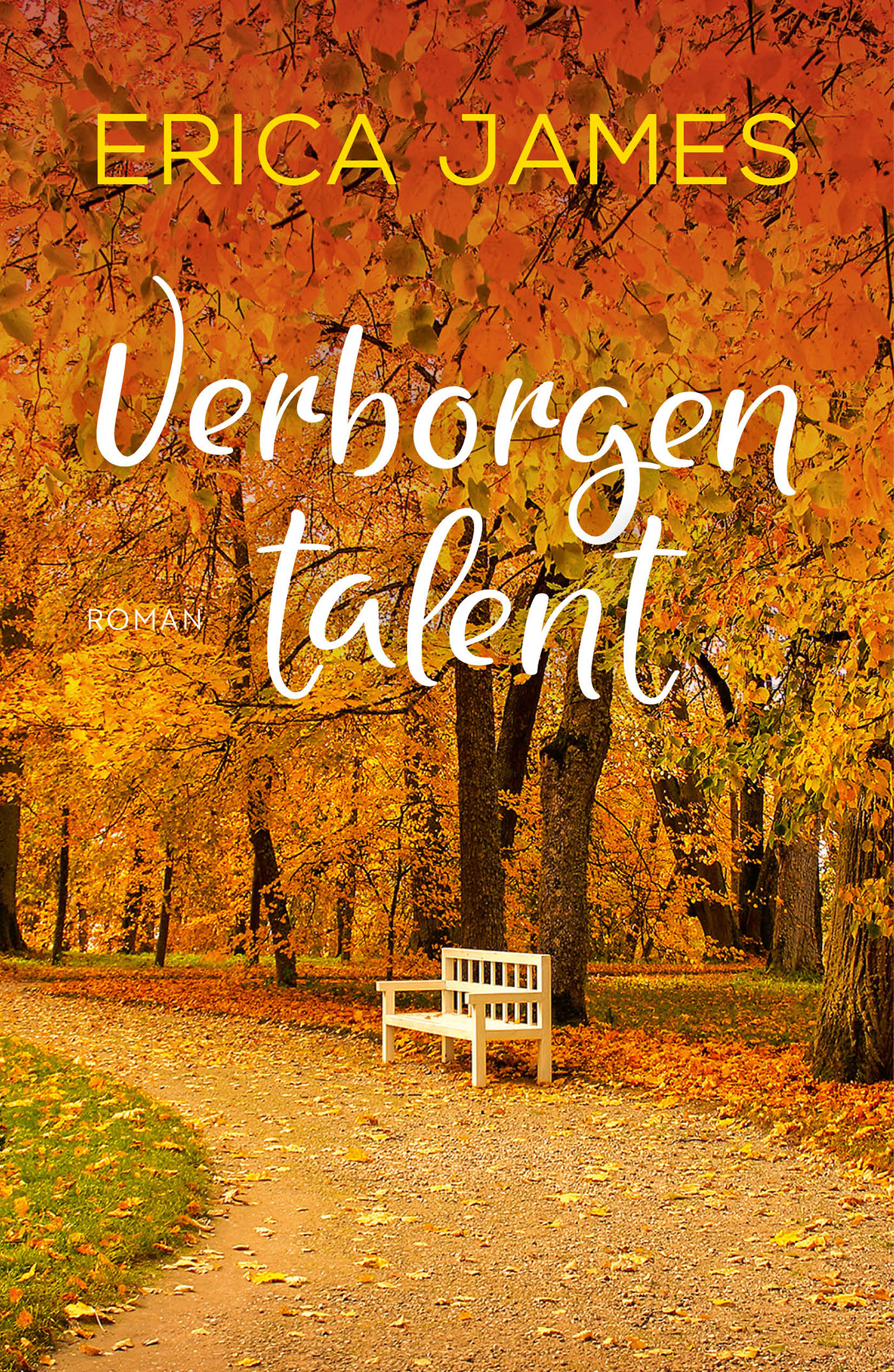 Omslag van Verborgen talent