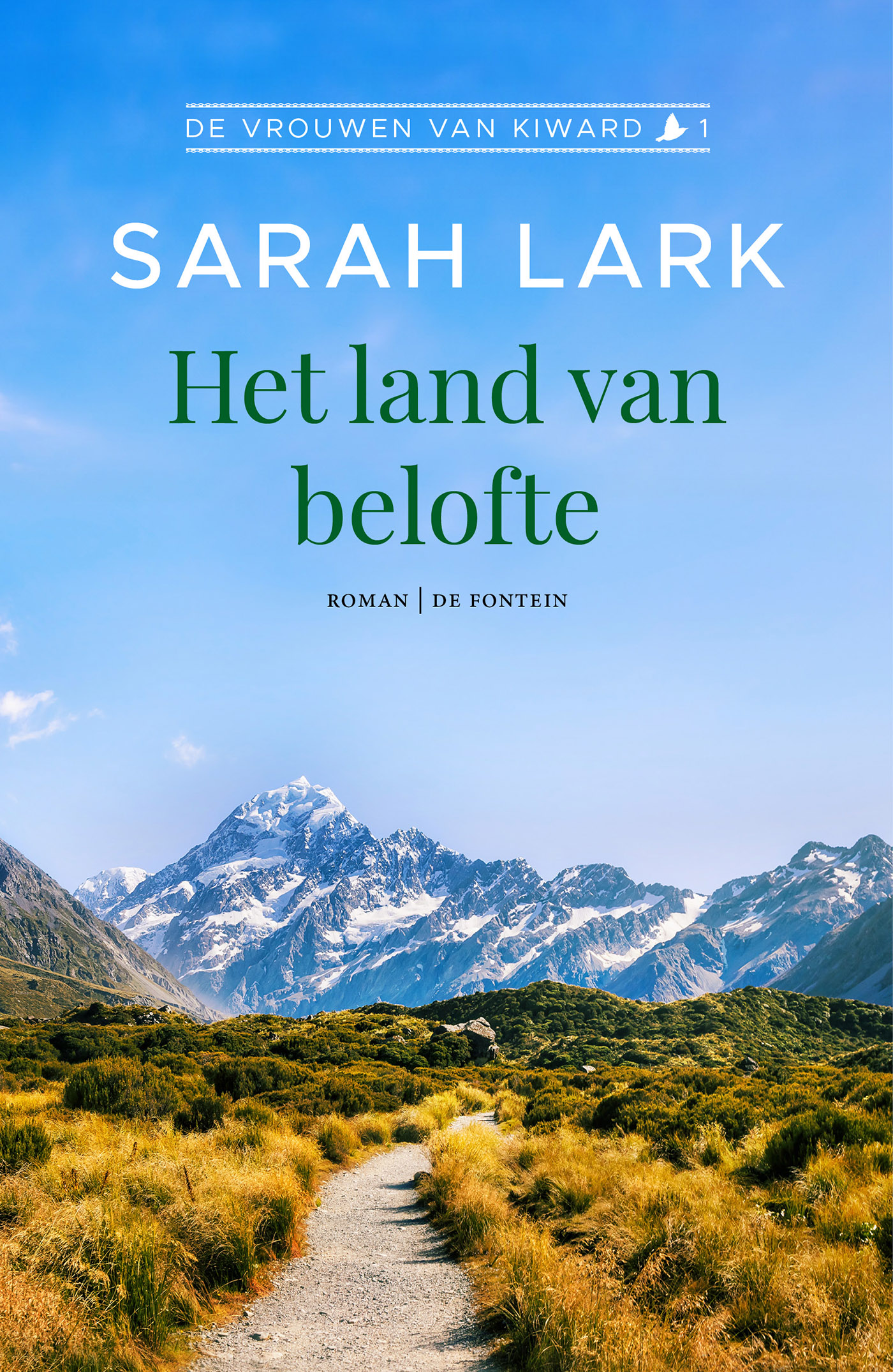Omslag van Het land van belofte