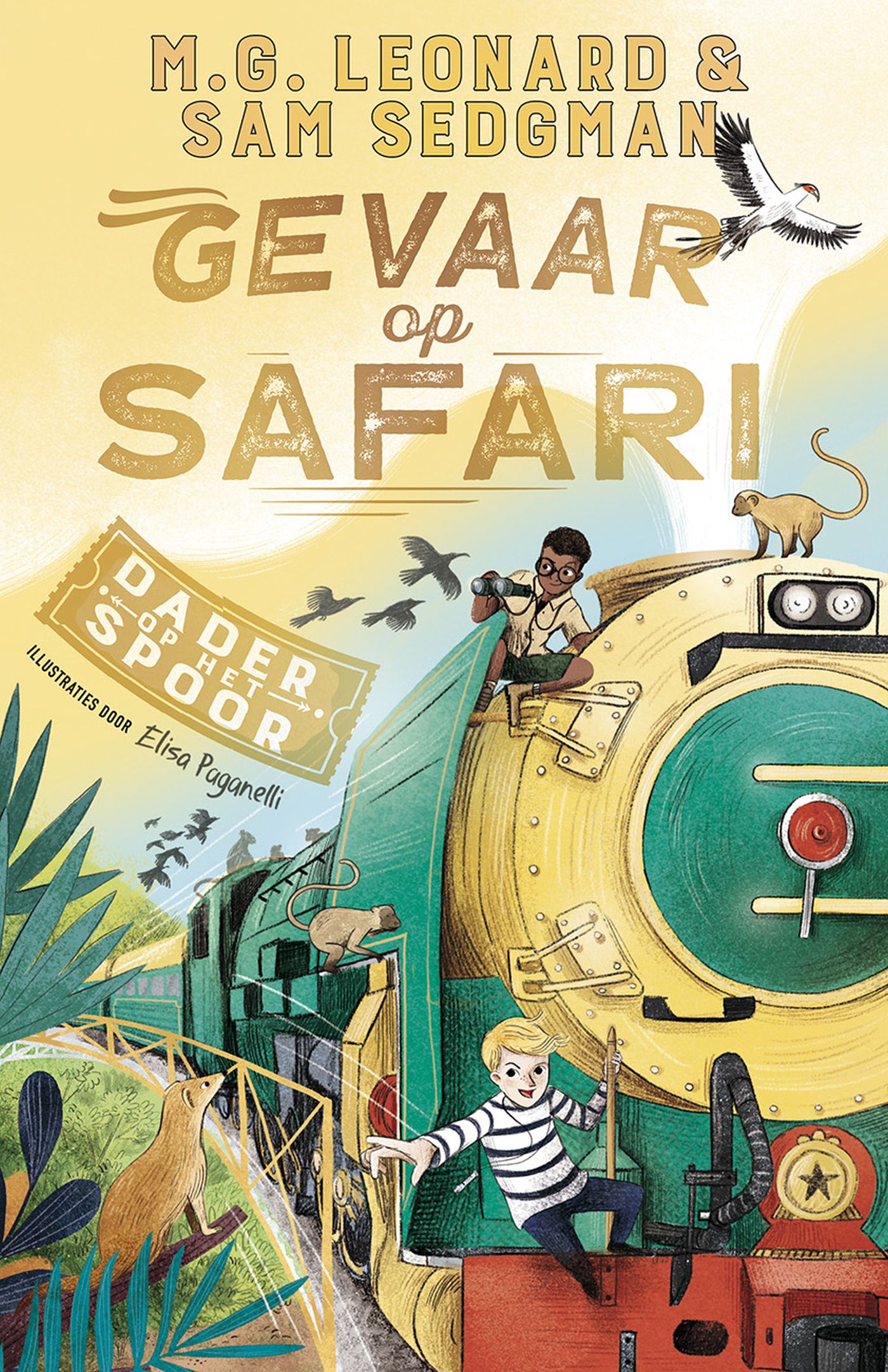 Omslag van Gevaar op safari