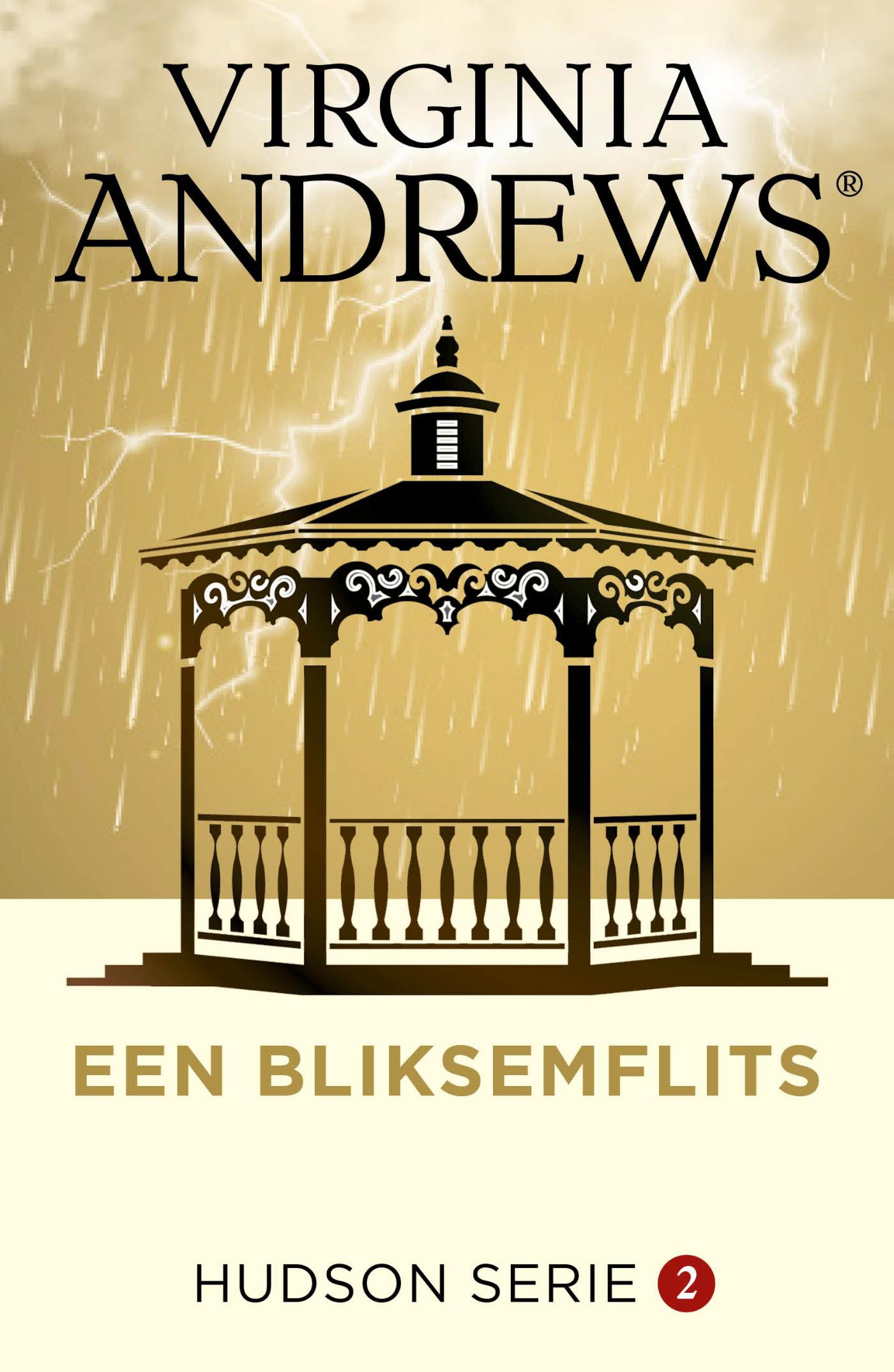 Omslag van Een bliksemflits