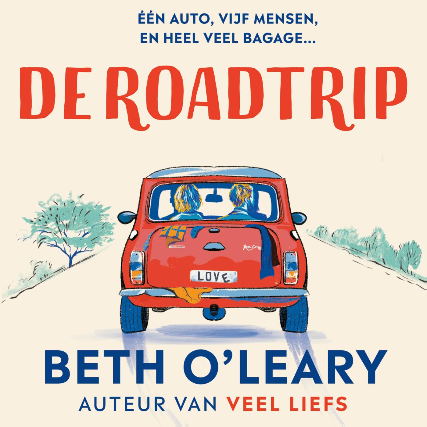 Omslag van De roadtrip