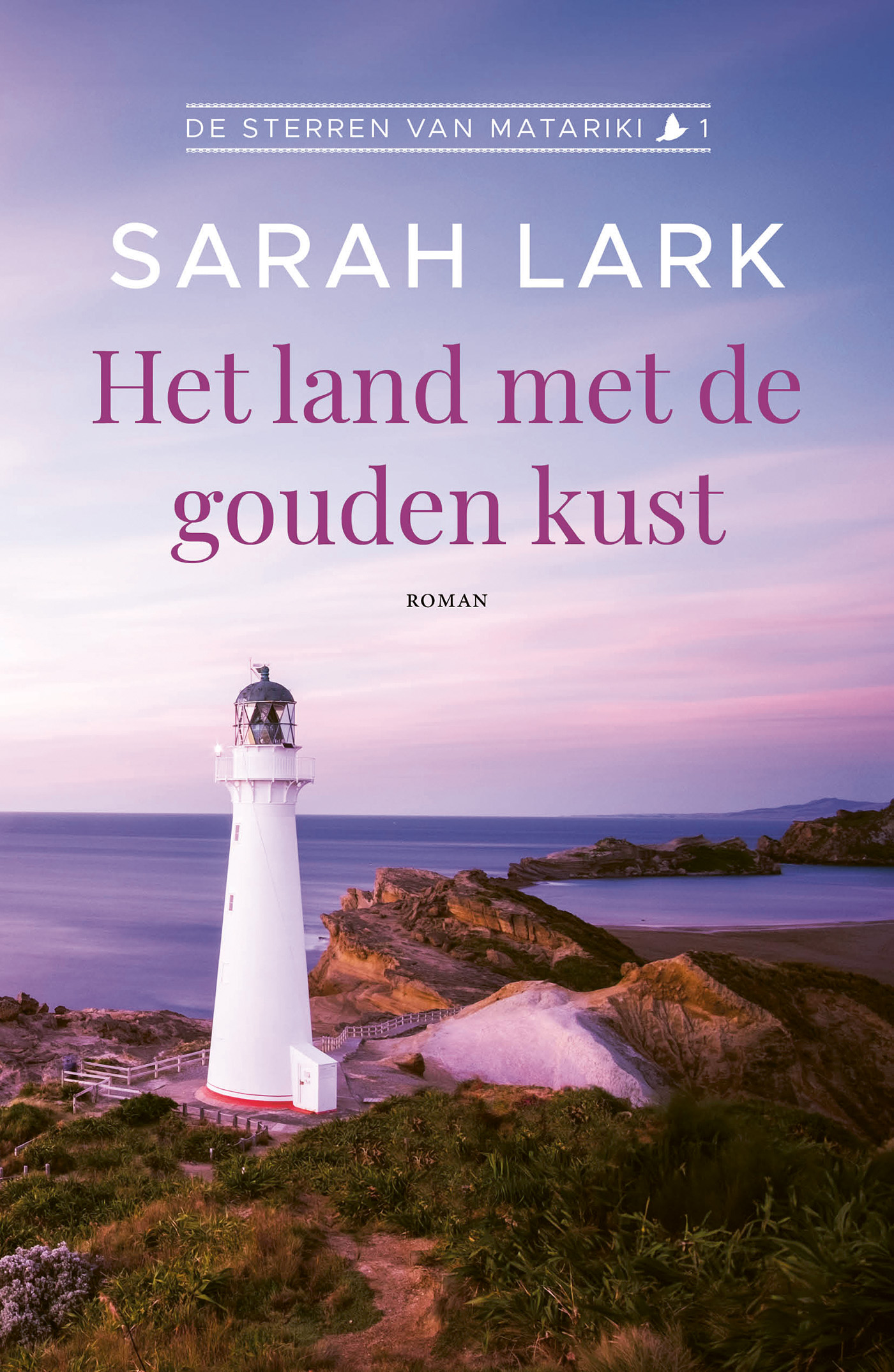 Omslag van Het land met de gouden kust
