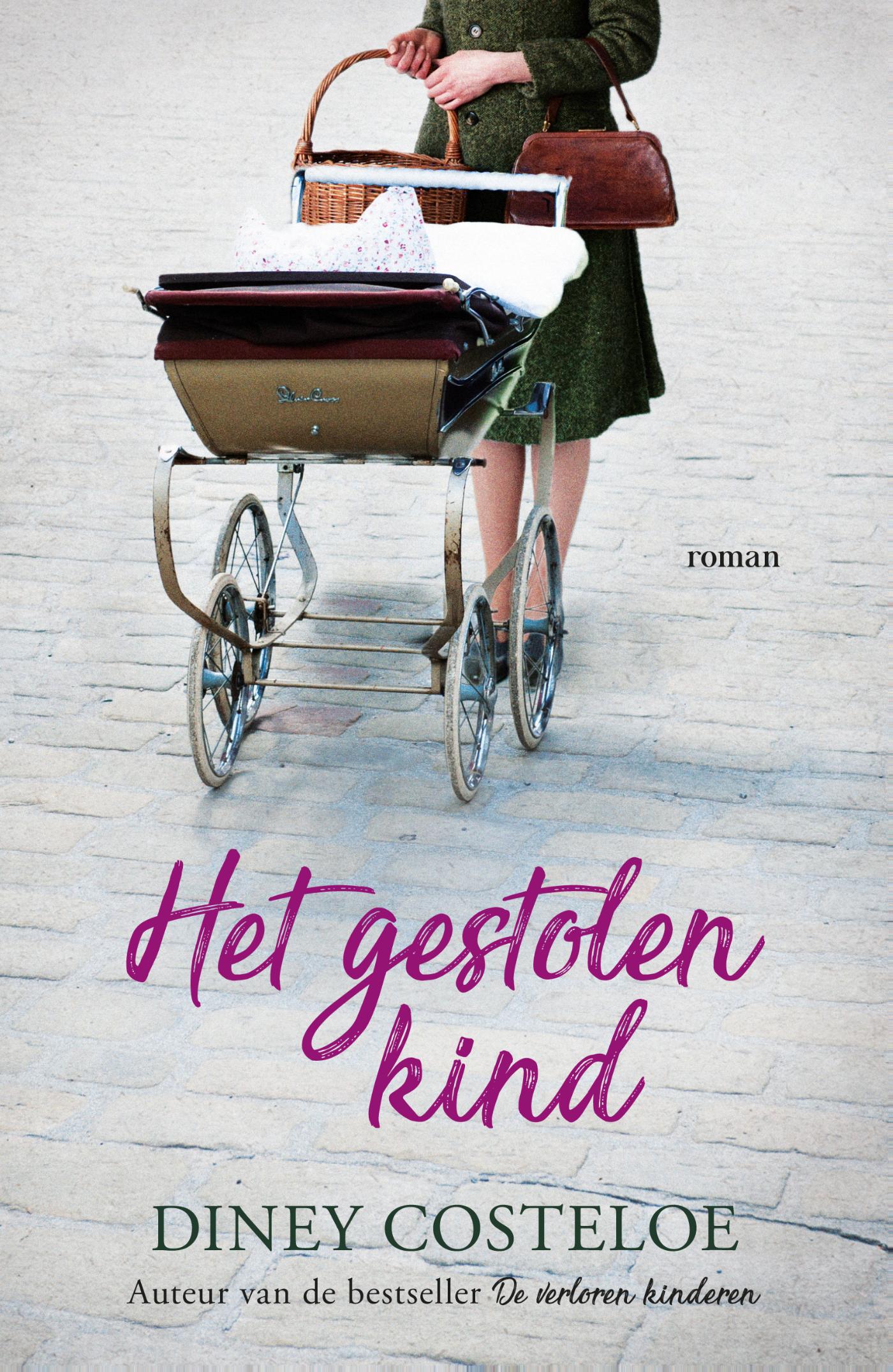 Omslag van Het gestolen kind