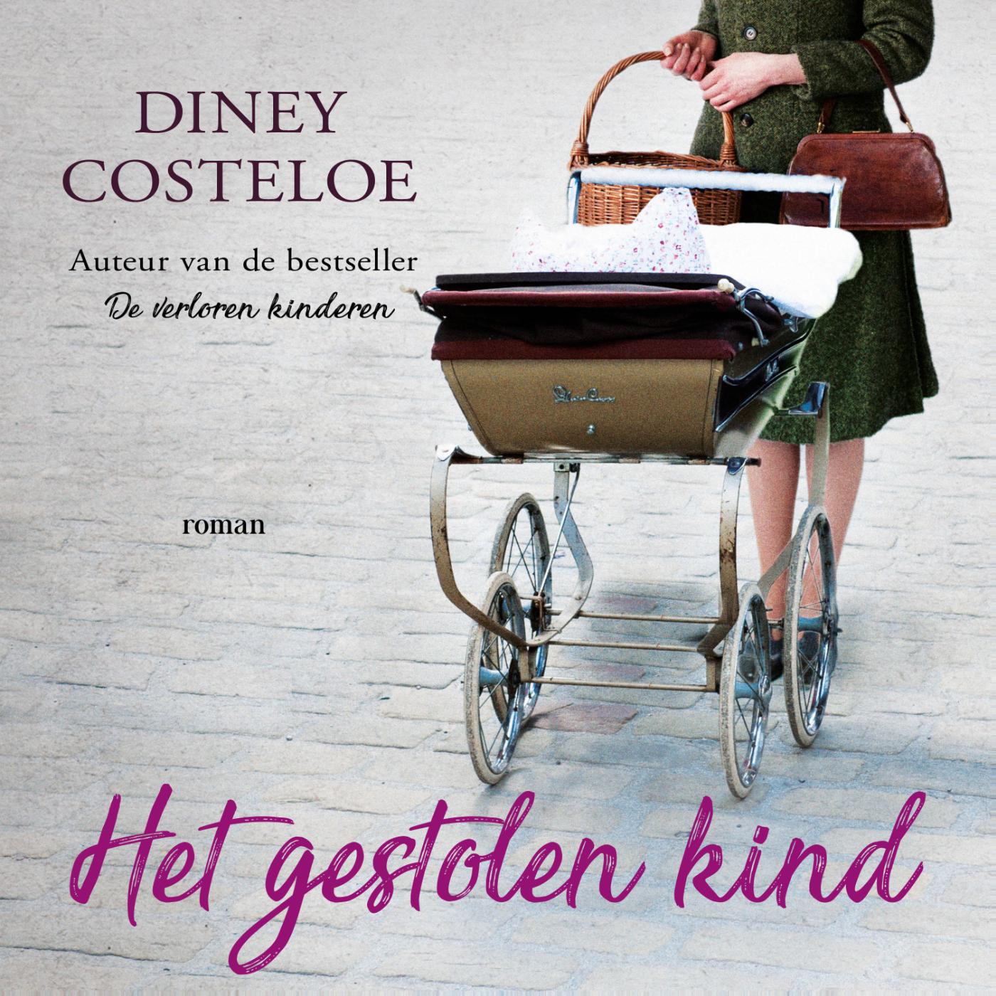 Omslag van Het gestolen kind