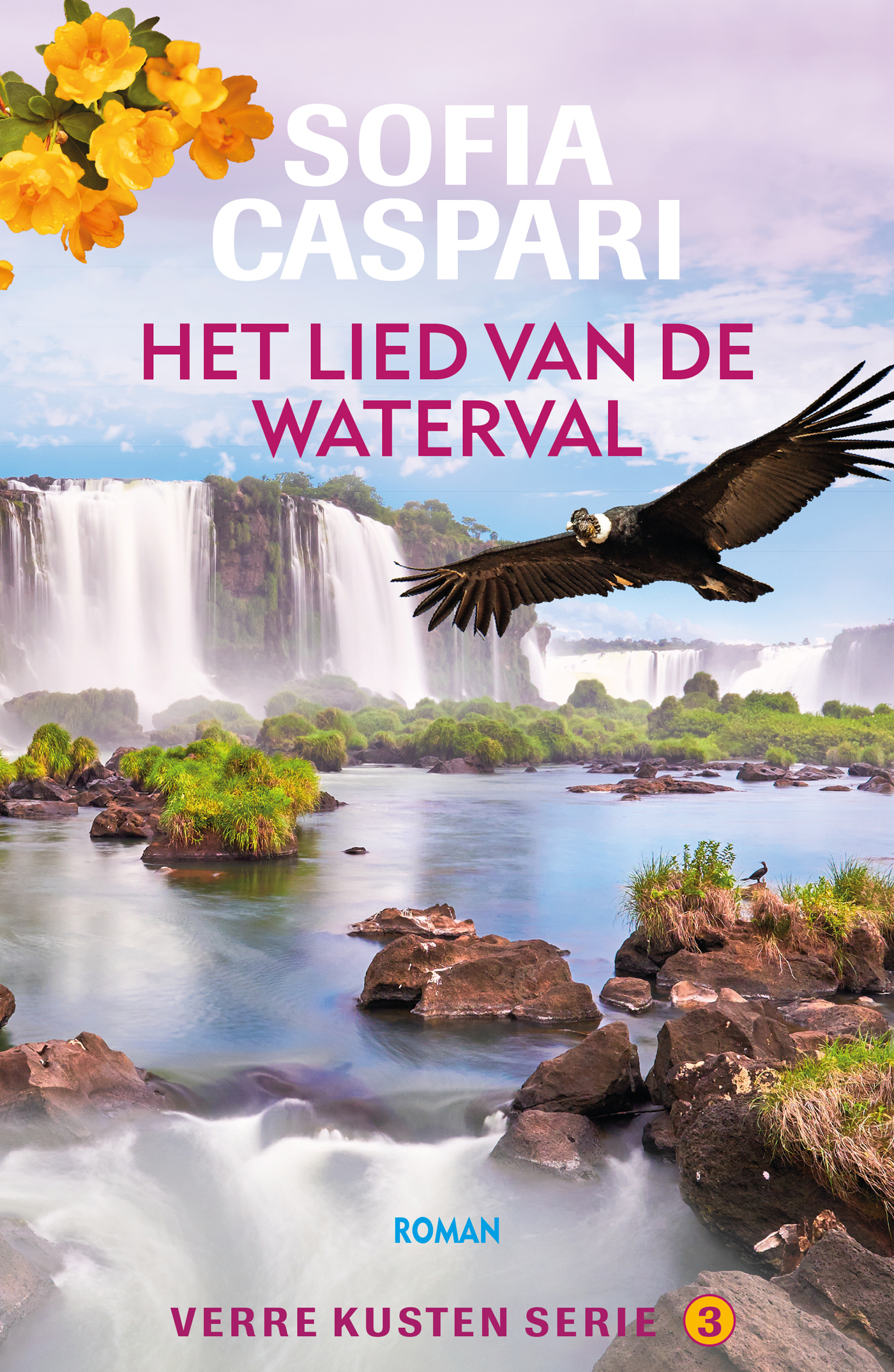 Omslag van Het lied van de waterval
