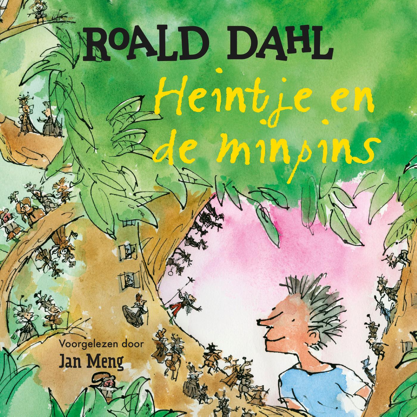 Omslag van Heintje en de minpins