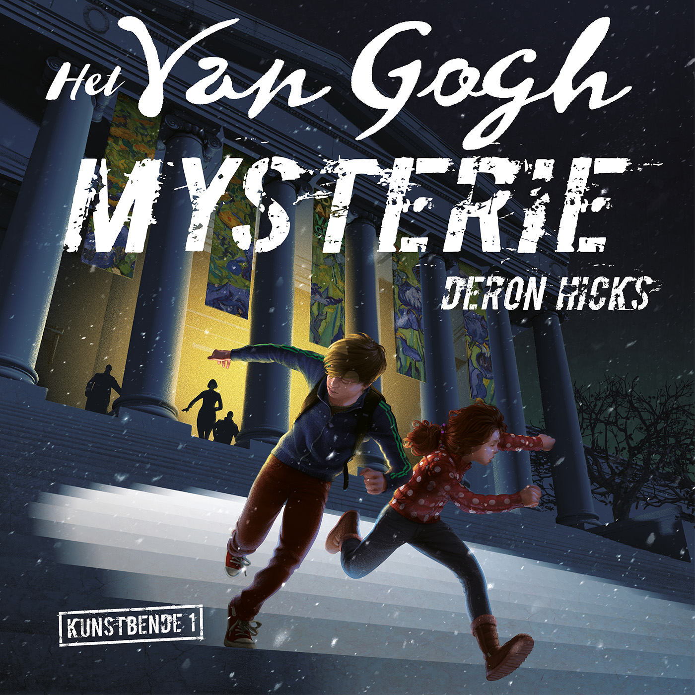 Omslag van Het Van Gogh-mysterie