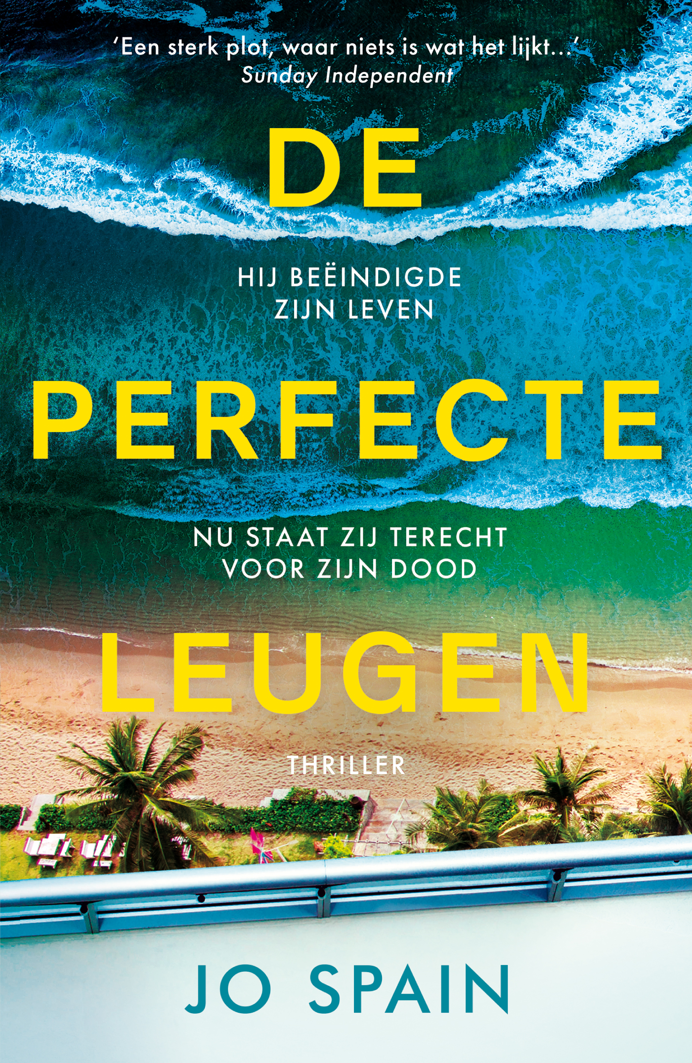 Omslag van De perfecte leugen