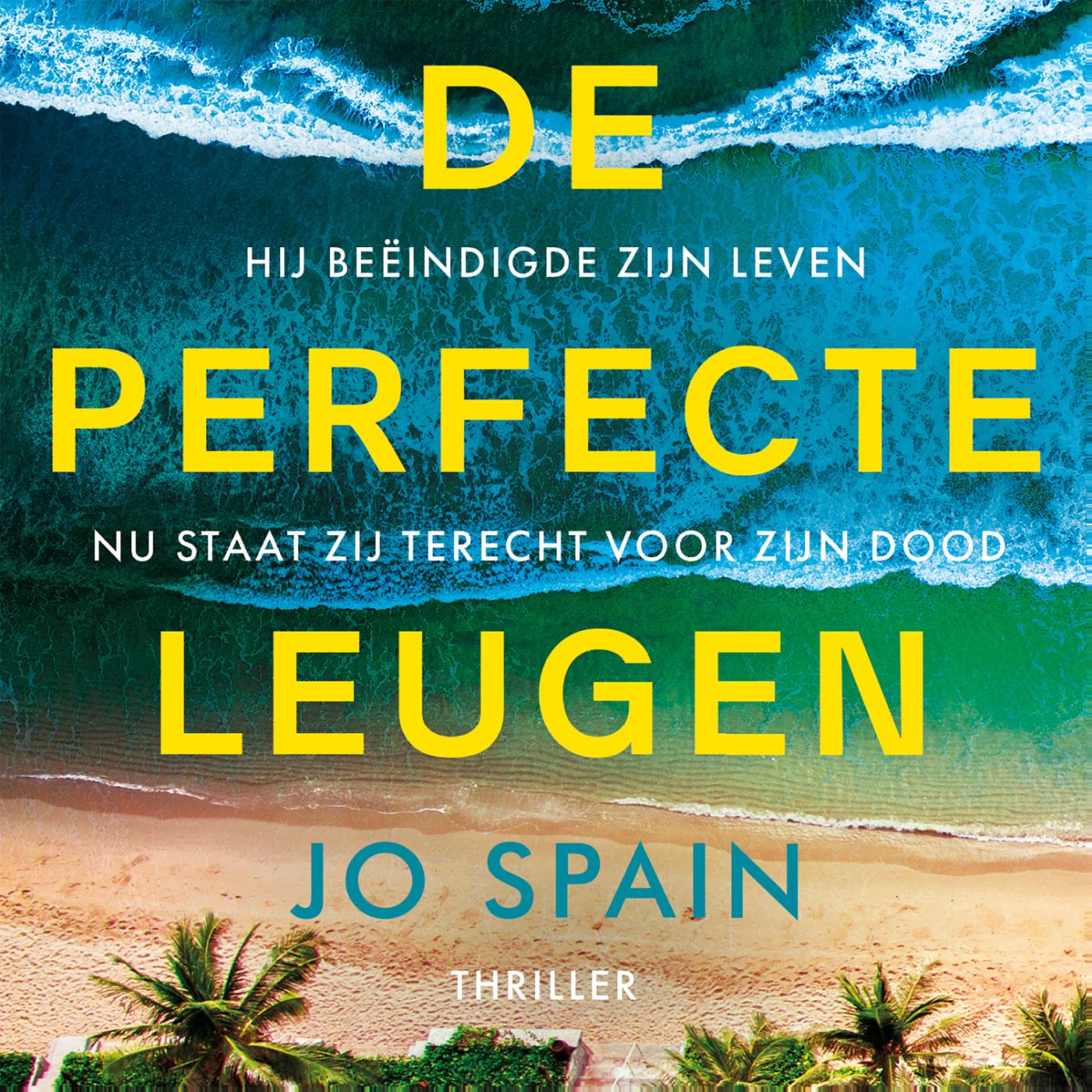 Omslag van De perfecte leugen