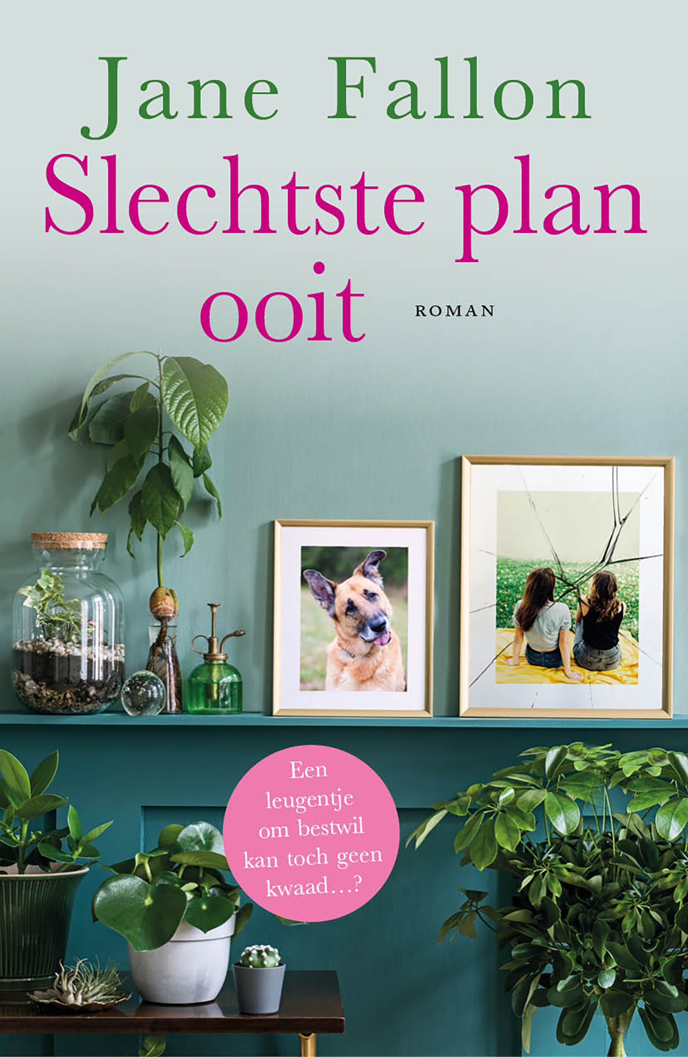 Omslag van Slechtste plan ooit