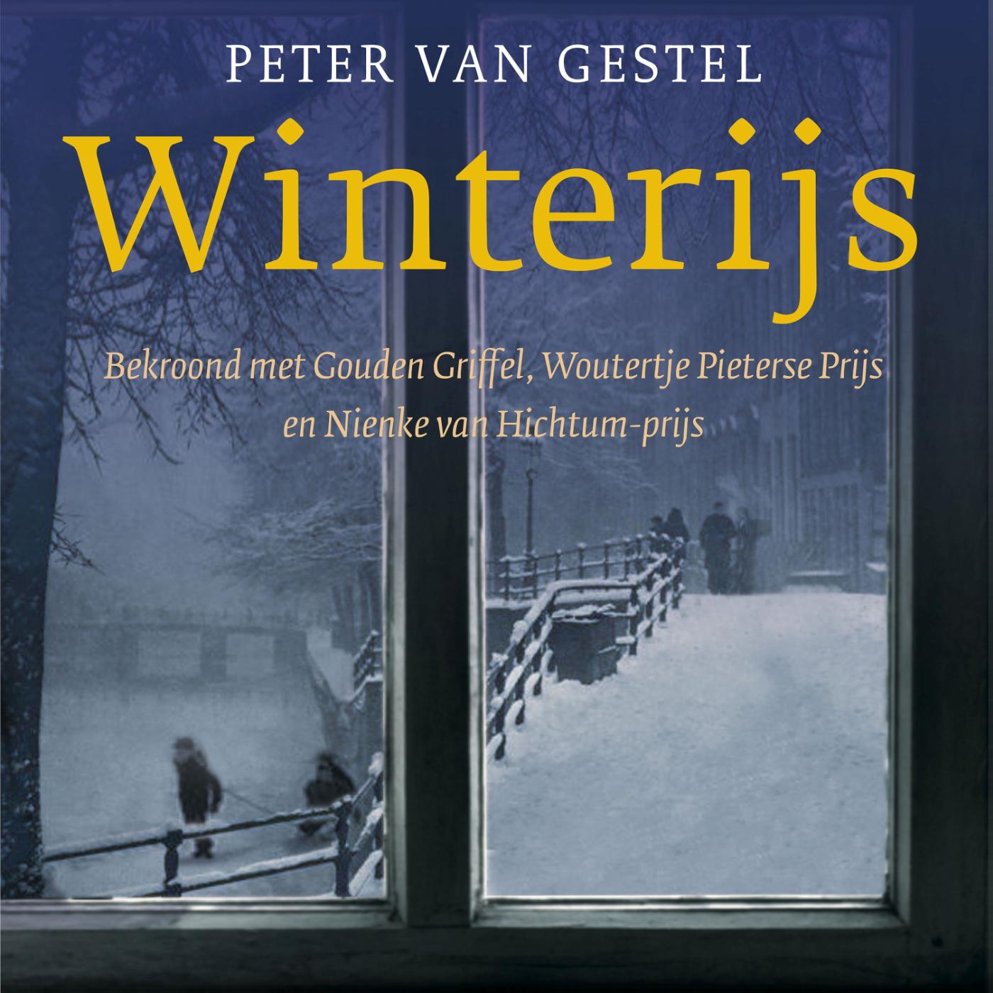 Omslag van Winterijs