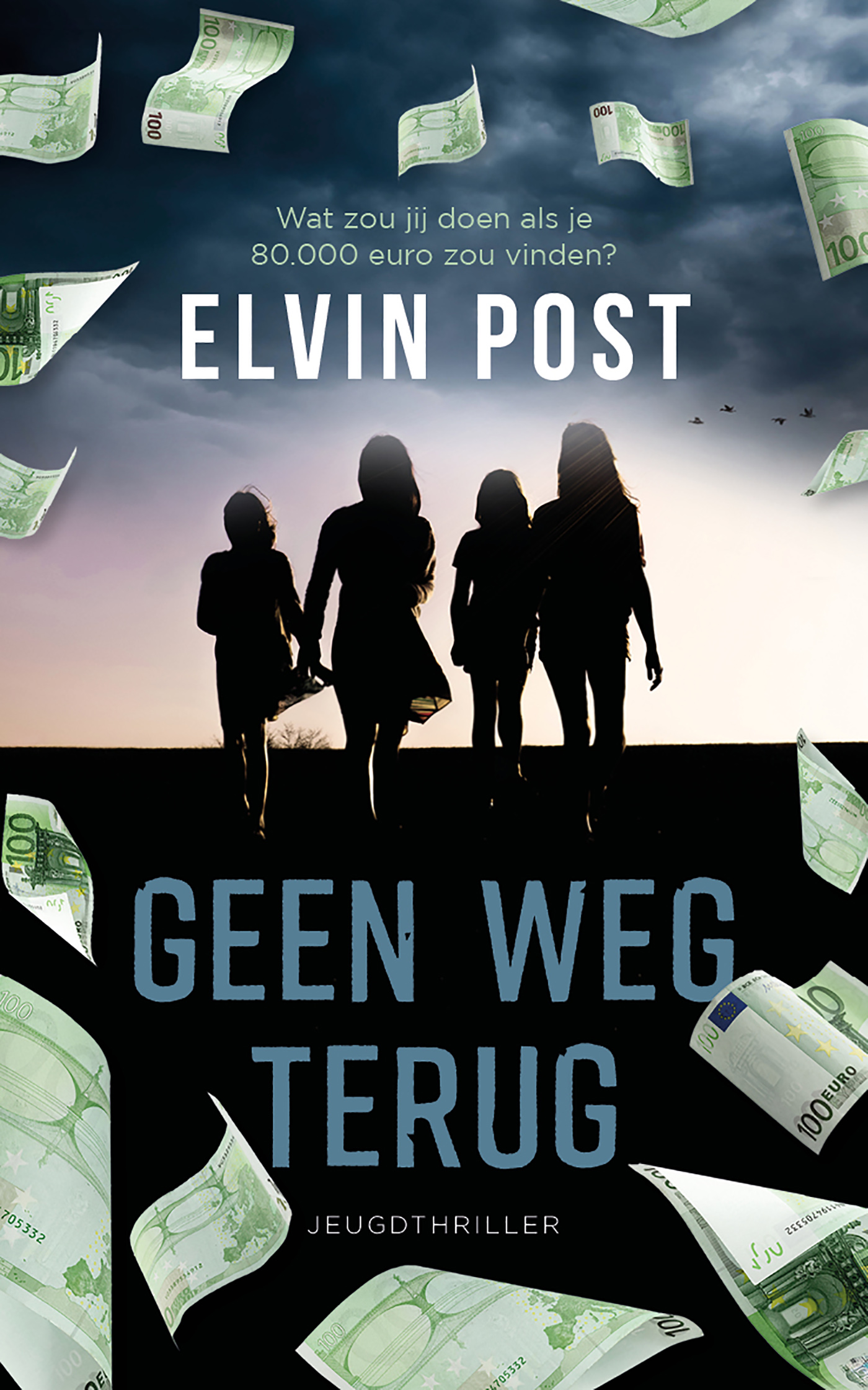 Omslag van Geen weg terug