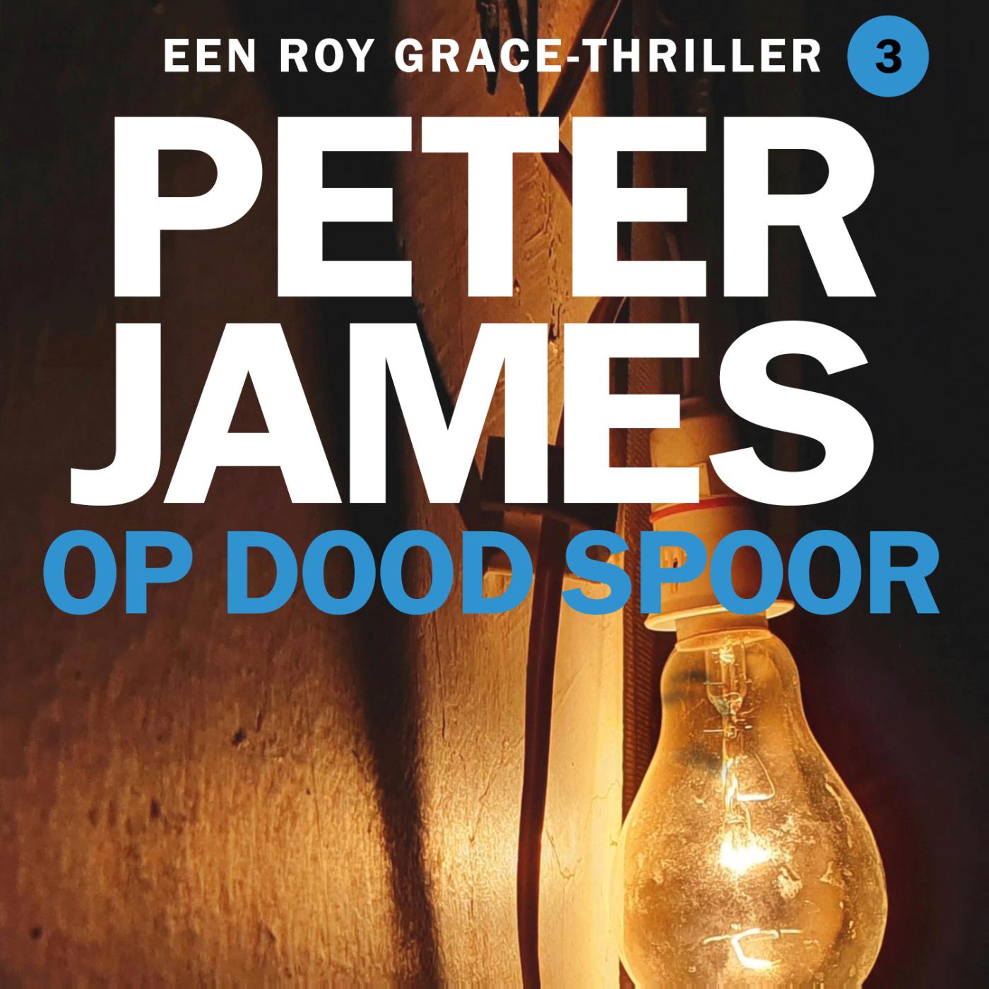 Omslag van Op dood spoor
