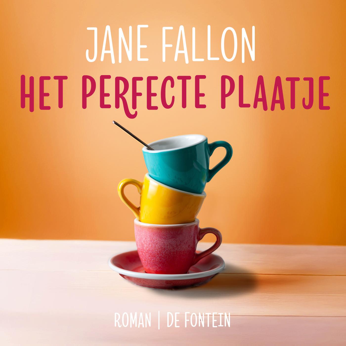 Omslag van Het perfecte plaatje