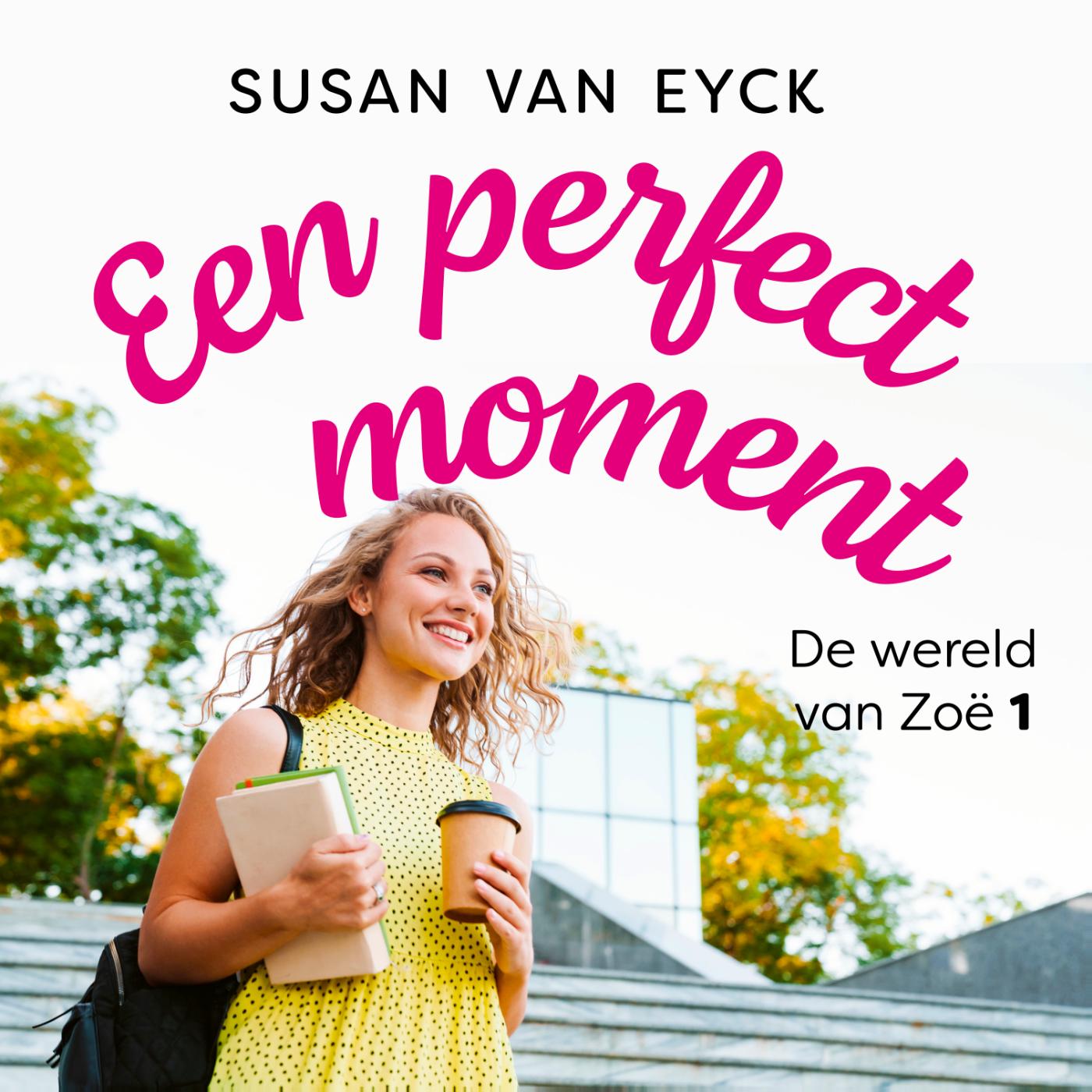 Omslag van Een perfect moment