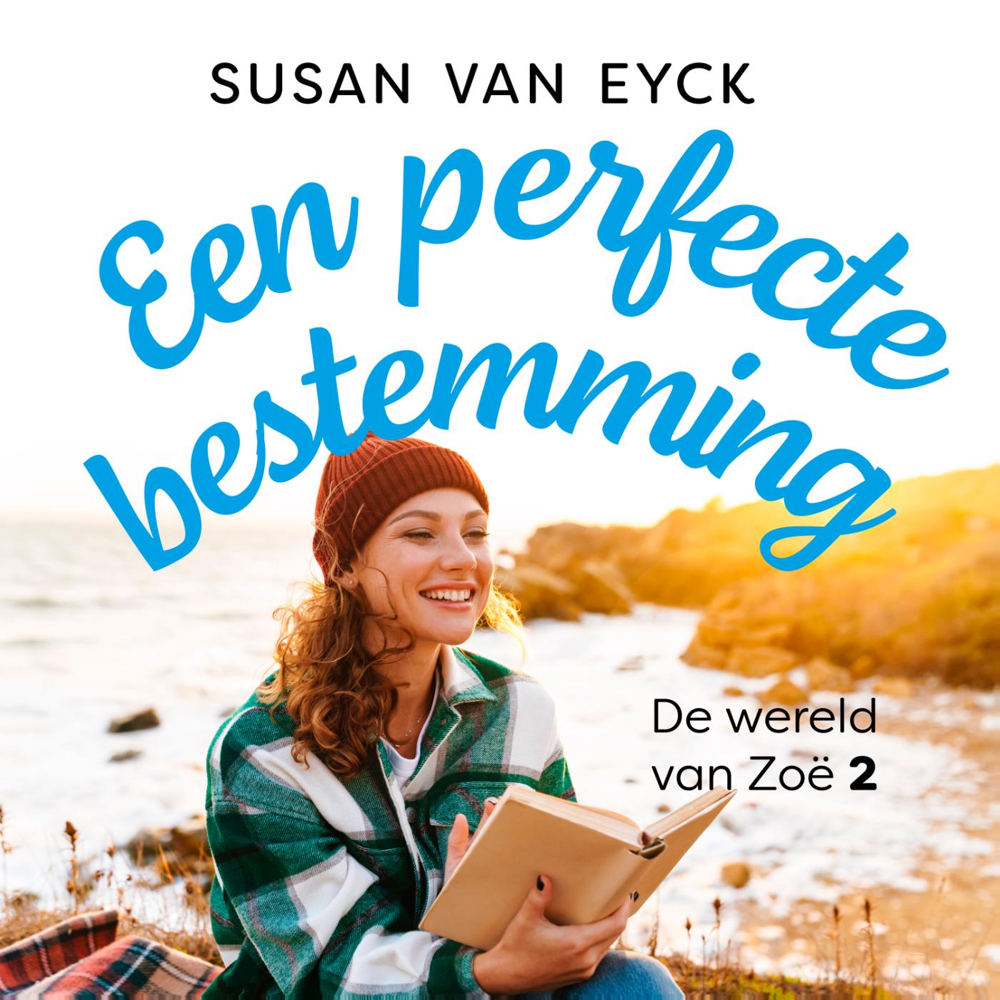 Omslag van Een perfecte bestemming